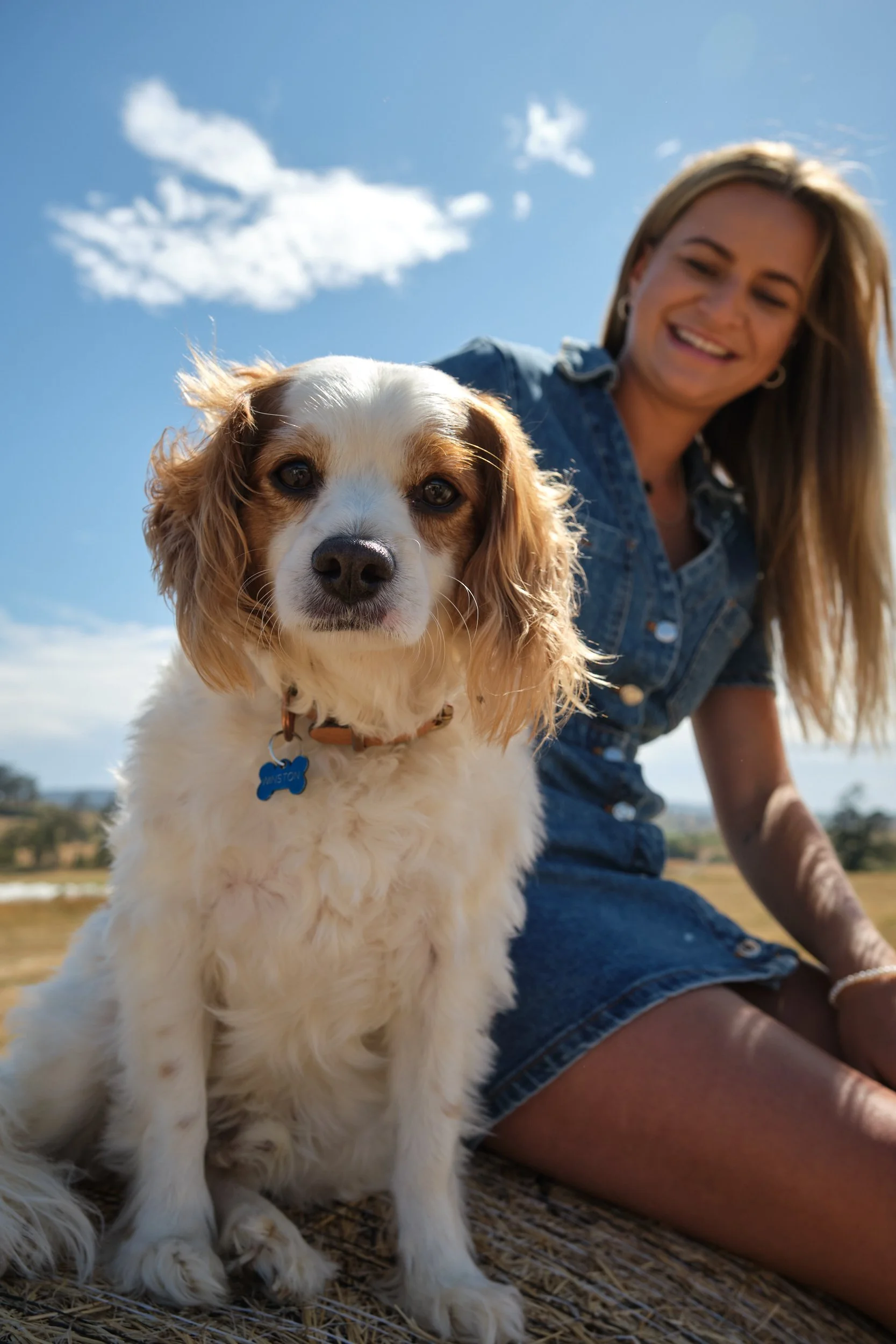 clark-launceston-extended-family-dog-on-hay-bale-with-smiling-woman.jpeg