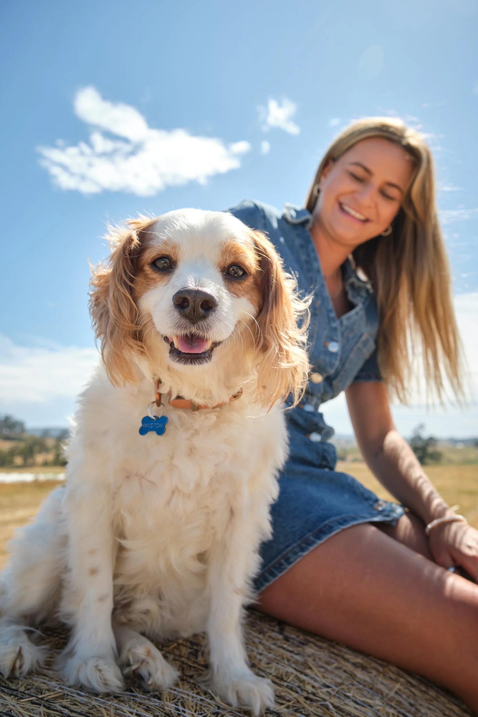 clark-launceston-extended-family-dog-on-hay-bale-with-woman-smiling.jpeg