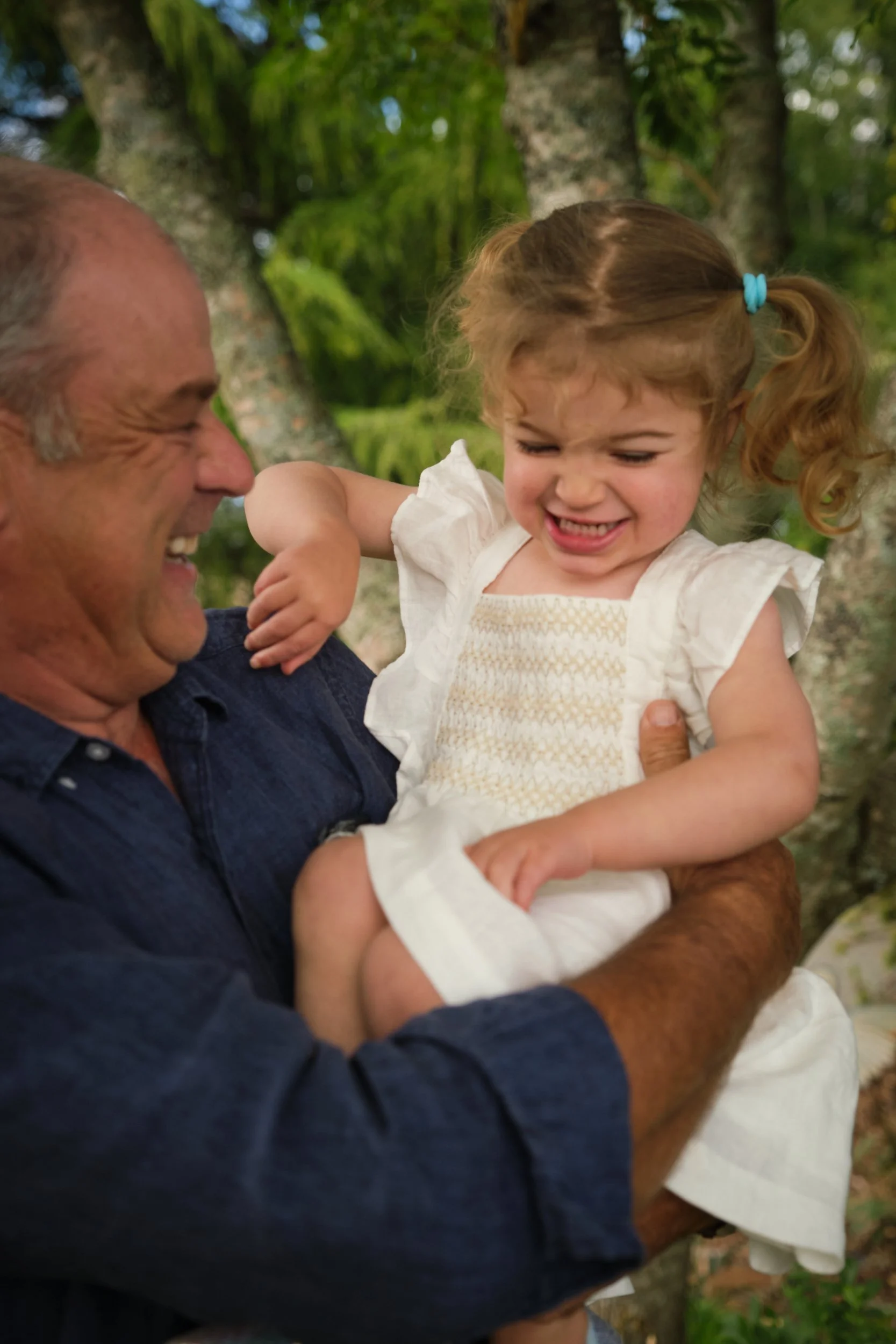 clark-launceston-extended-family-grandfather-holding-laughing-toddler-under-trees.jpeg