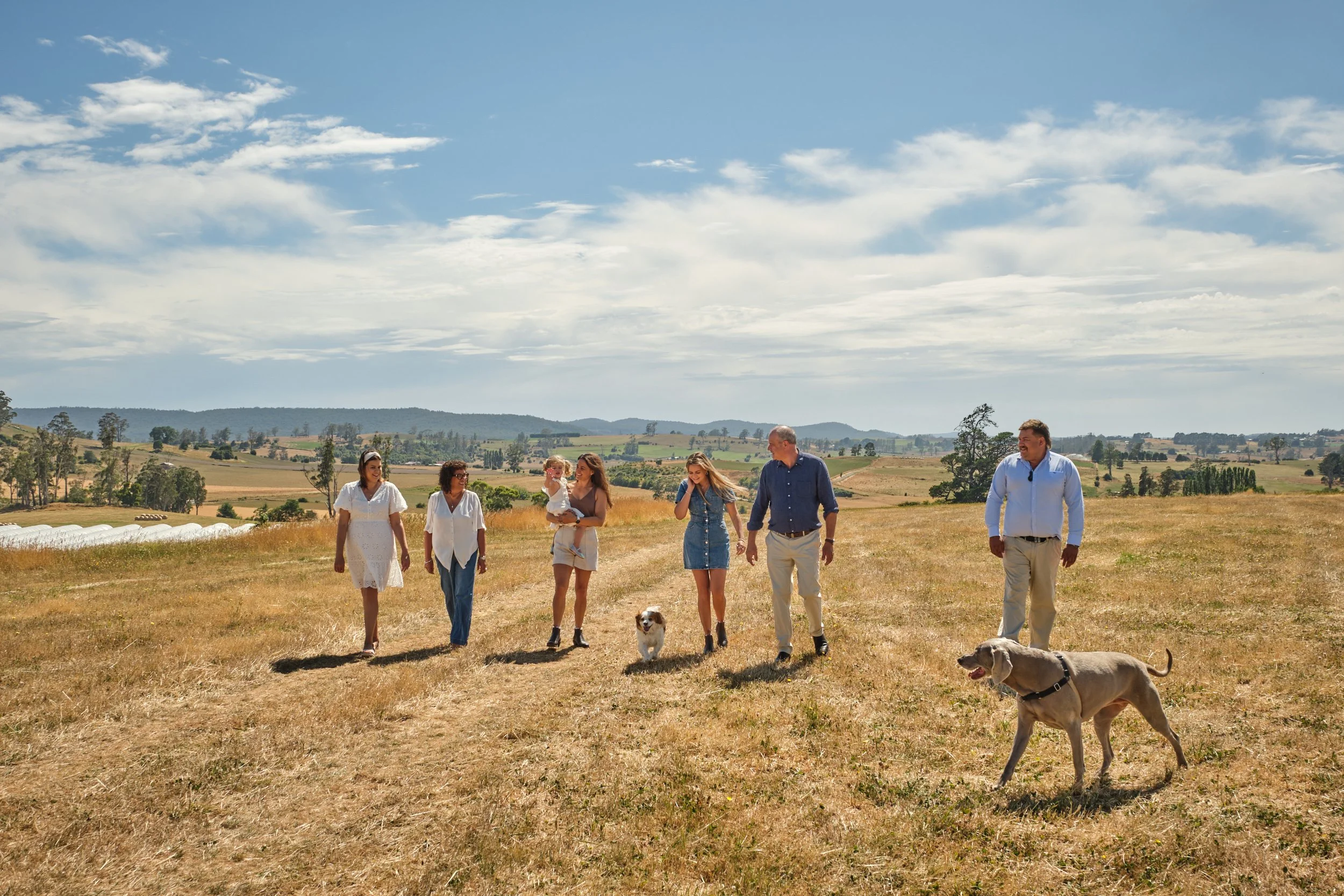 clark-launceston-extended-family-walking-in-field-with-dogs-and-baby.jpeg