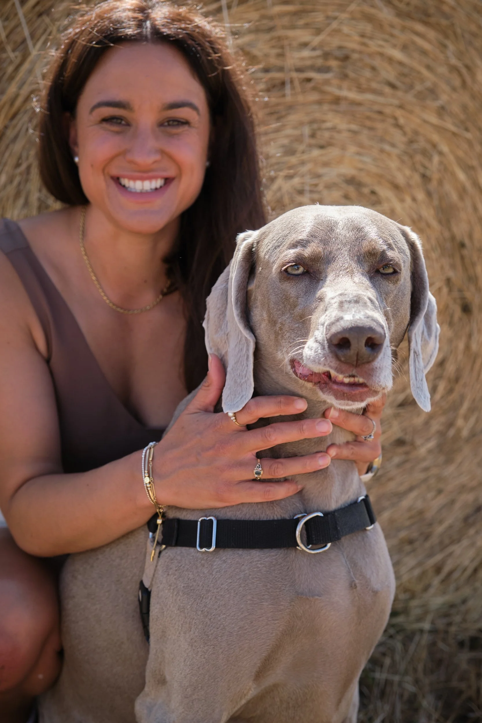 clark-launceston-extended-family-woman-with-weimaraner-dog-on-farm-hay-bale.jpeg