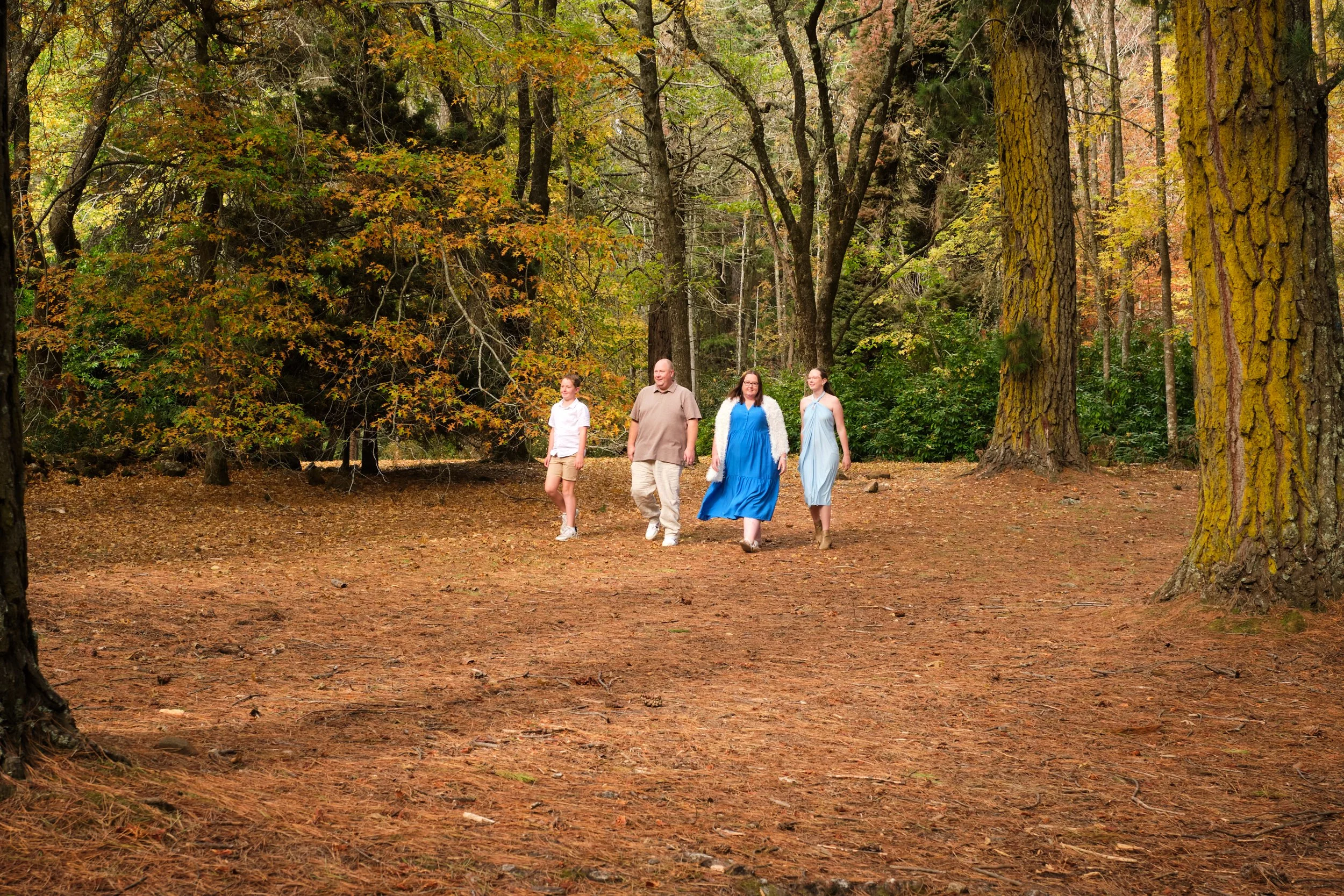 north-hollybank-launceston-family-photography-walking-in-forest-autumn-trees.jpeg