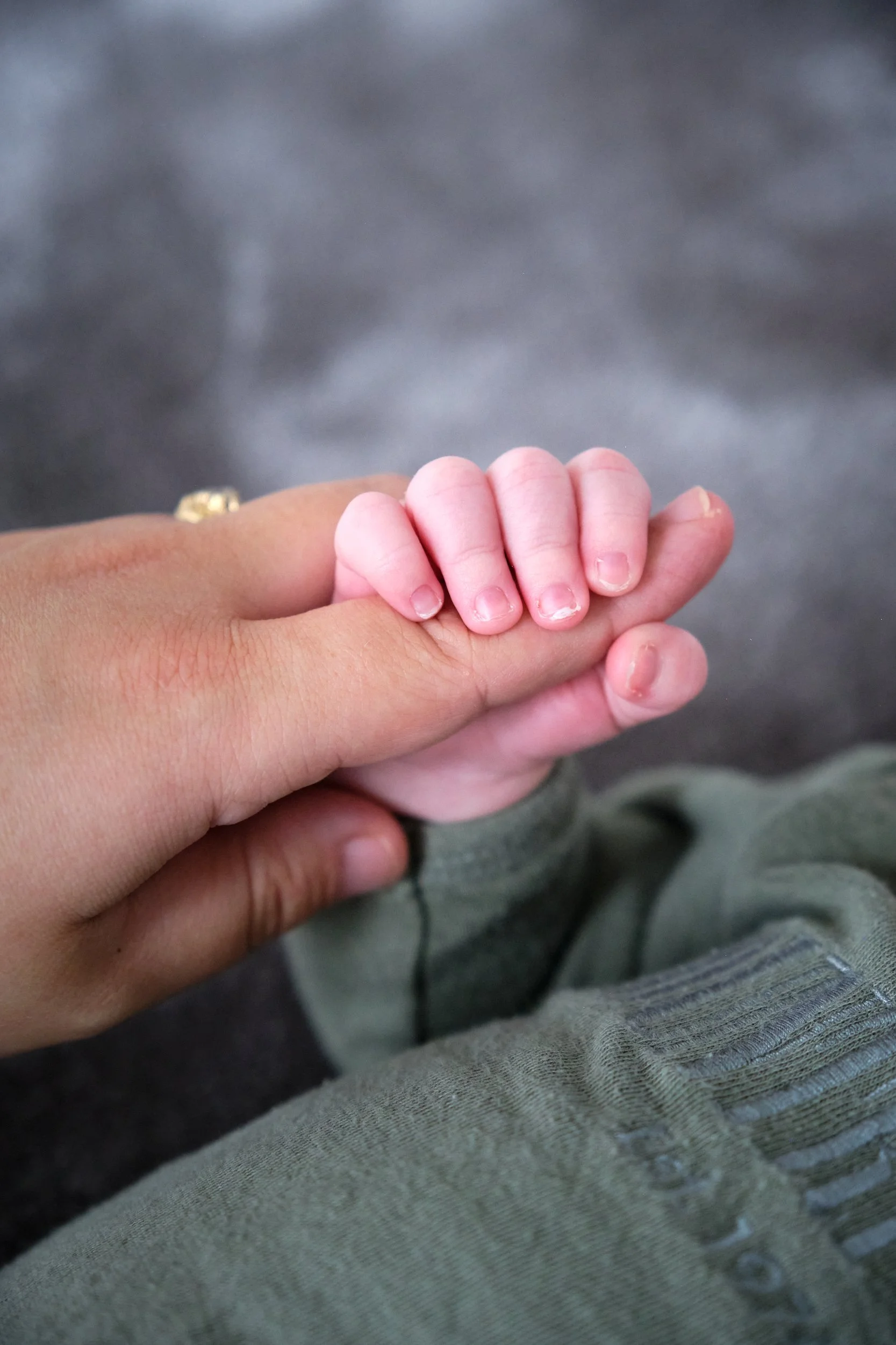 lawrence-launceston-newborn-family-photography-baby-hand-holding-parent-finger.jpeg
