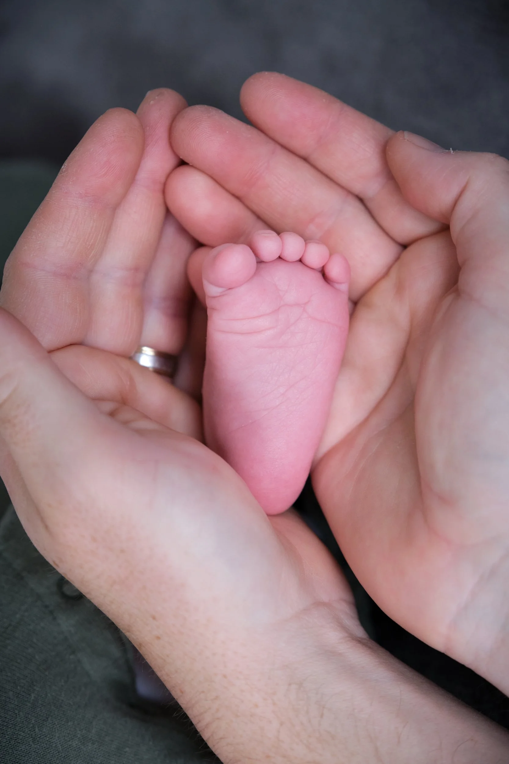 lawrence-launceston-newborn-family-photography-tiny-baby-foot-in-parents-hands.jpeg