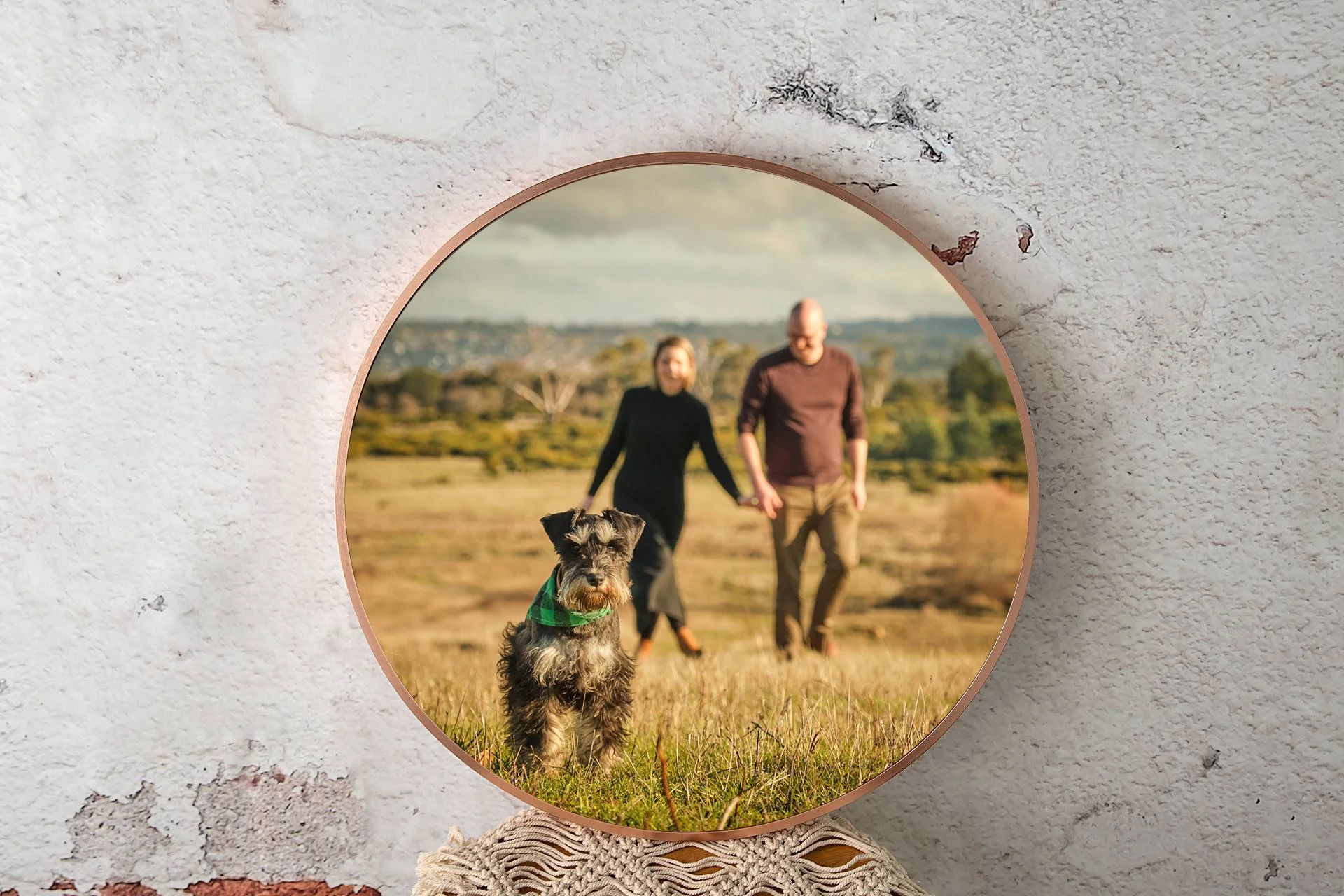 A mirror on a wall reflecting a couple holding hands walking outdoors with a schnauzer dog in the foreground wearing a green bandana. The background includes open fields and trees under a cloudy sky.