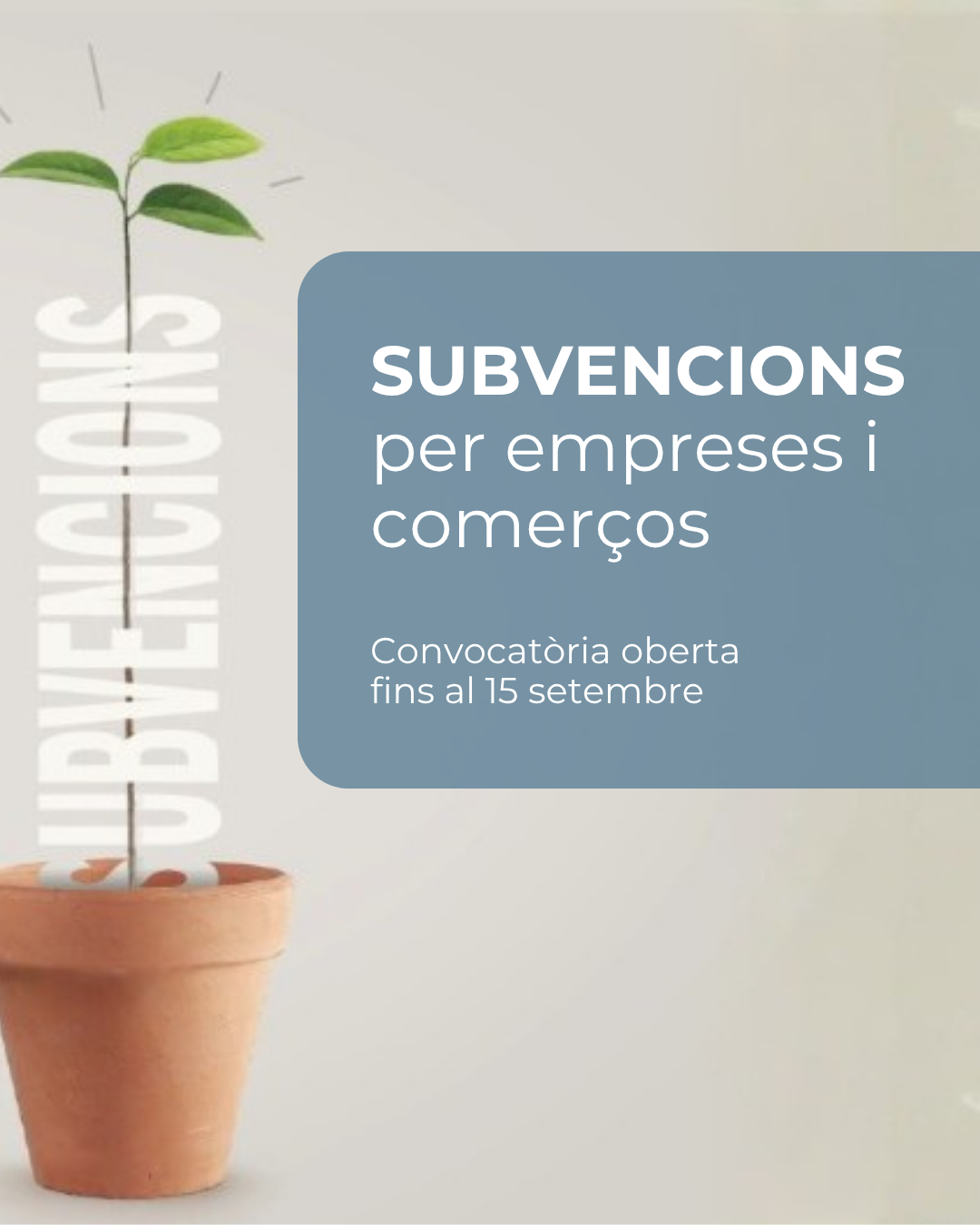L’Ajuntament d’Igualada obre una nova convocatòria de subvencions per impulsar l’activitat econòmica local