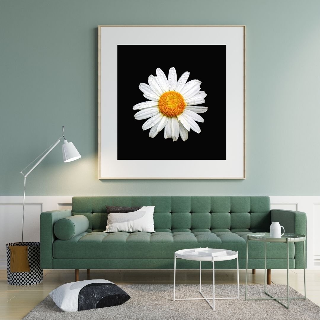 Daisy room.jpg
