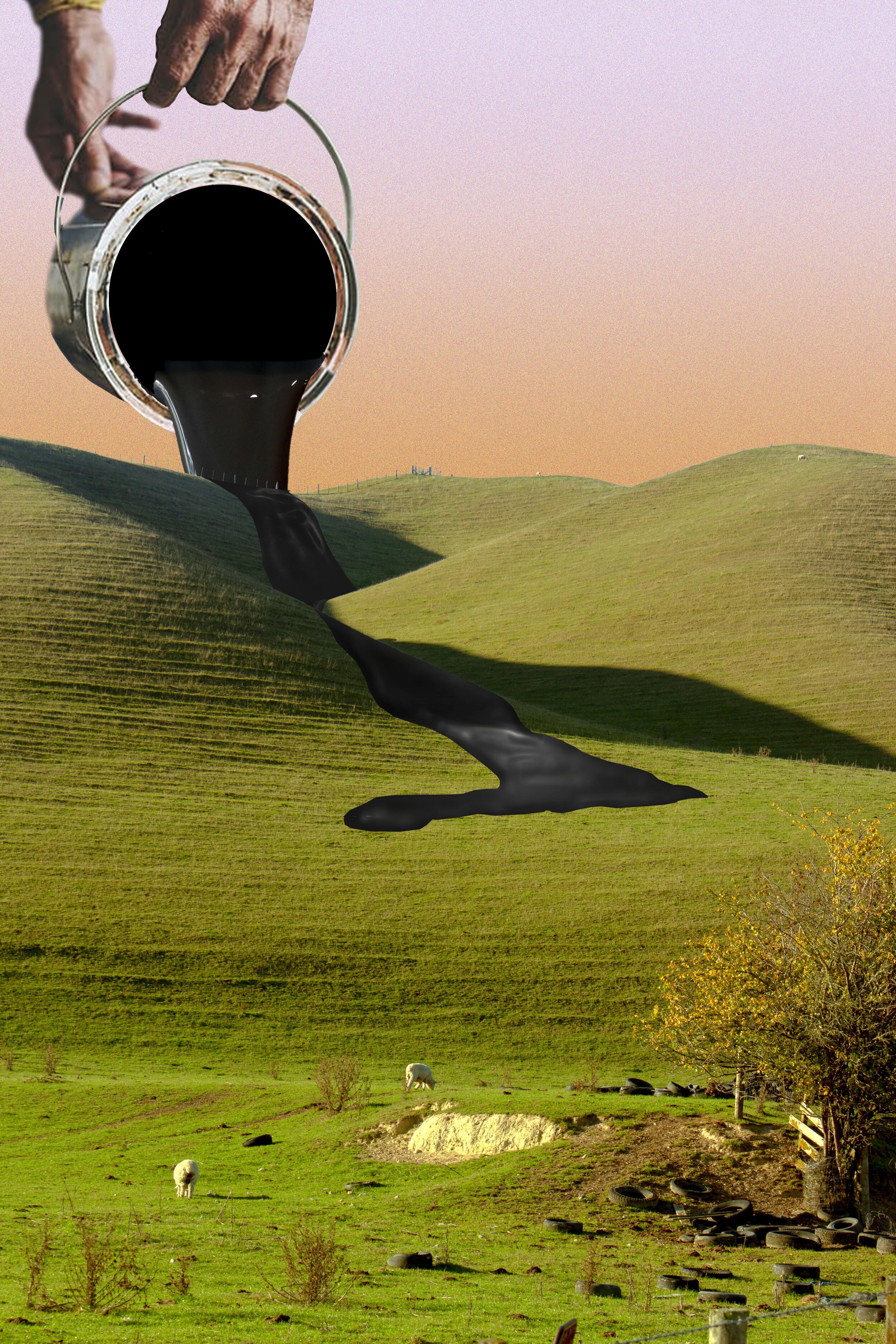hills project.jpg