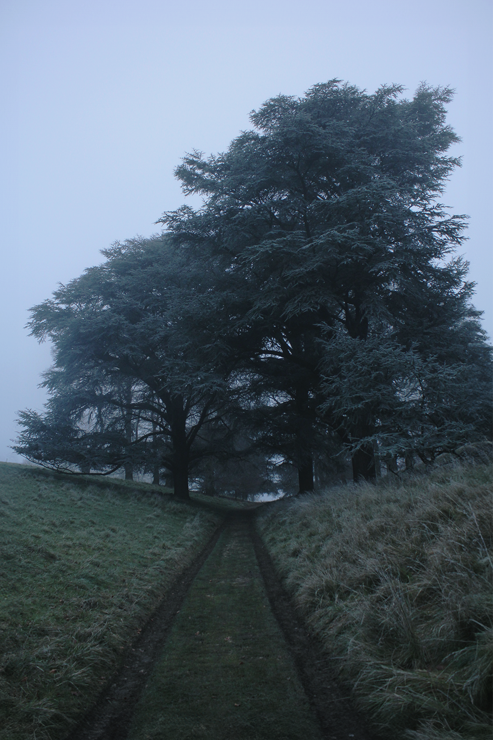 Blenhiem Pic 13.png