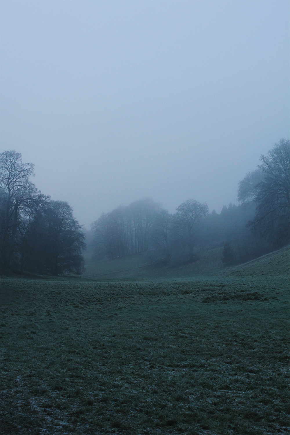 Blenhiem Pic 11.png