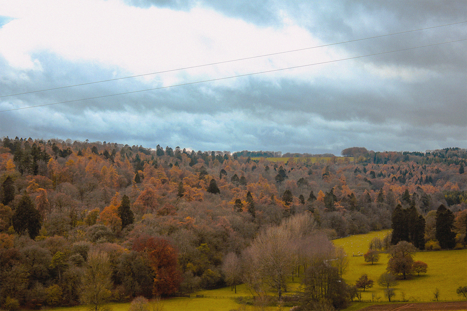 Gloucester_Pic_Six.png