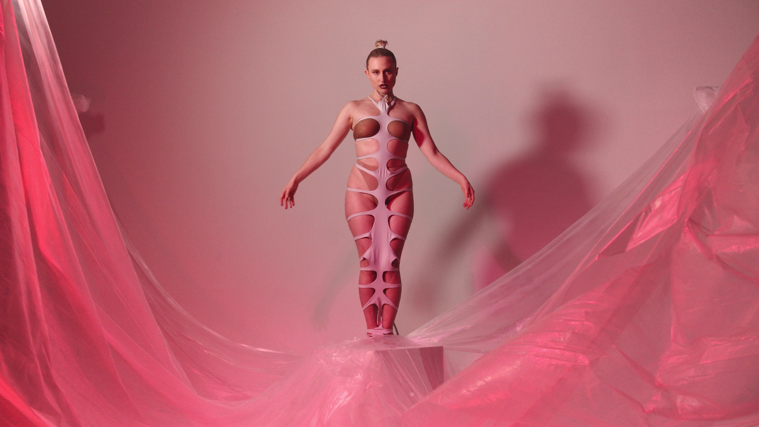 2. Venus.png