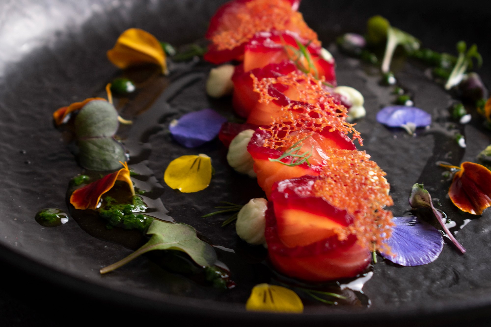 Salmon-1.jpg