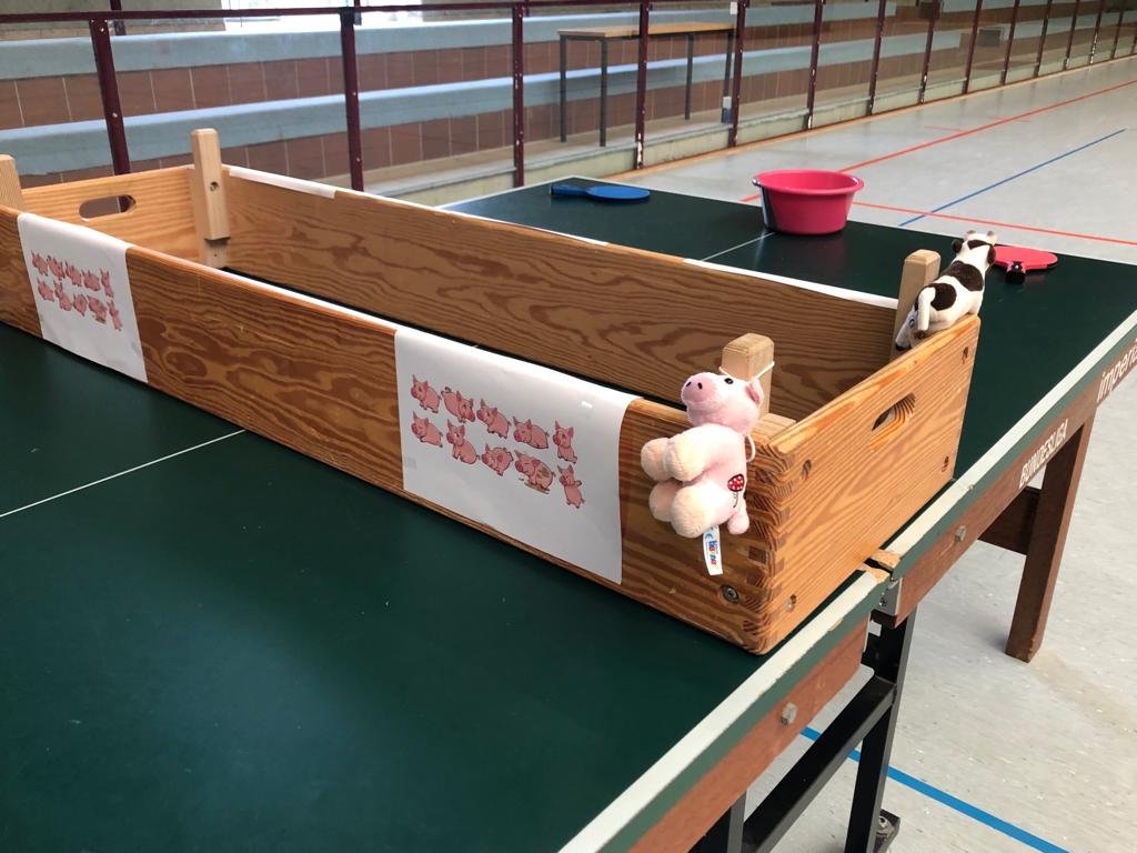 Tischtennis (10).jpeg