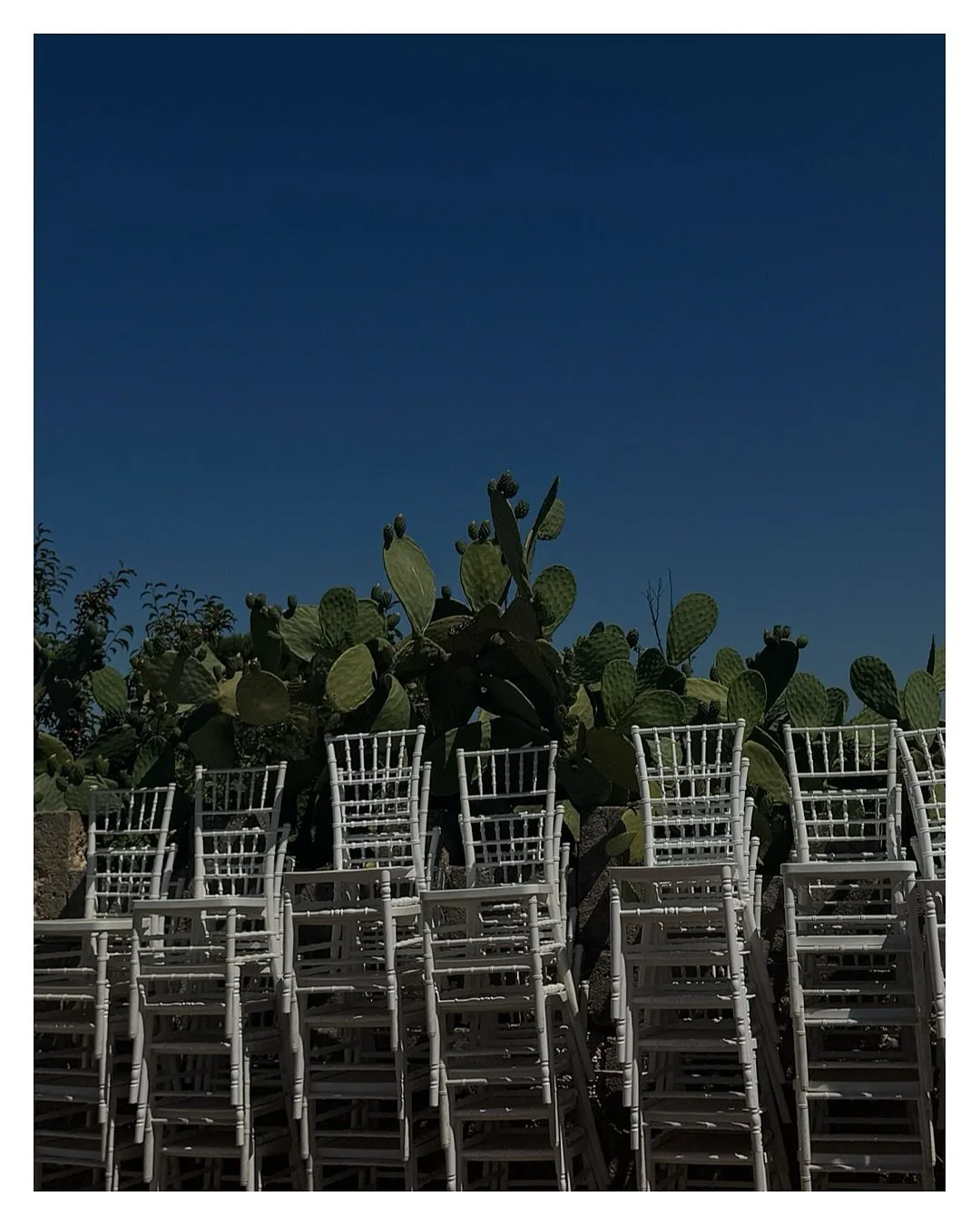 DeB&Iacute; TiRAR M&aacute;S FOToS

The few final moments of August and our summer on 🎞️ , minimal and random captures from our travels in Andalusia 🇪🇸 .

I am now looking forward to hibernation season and some cosy time at home.