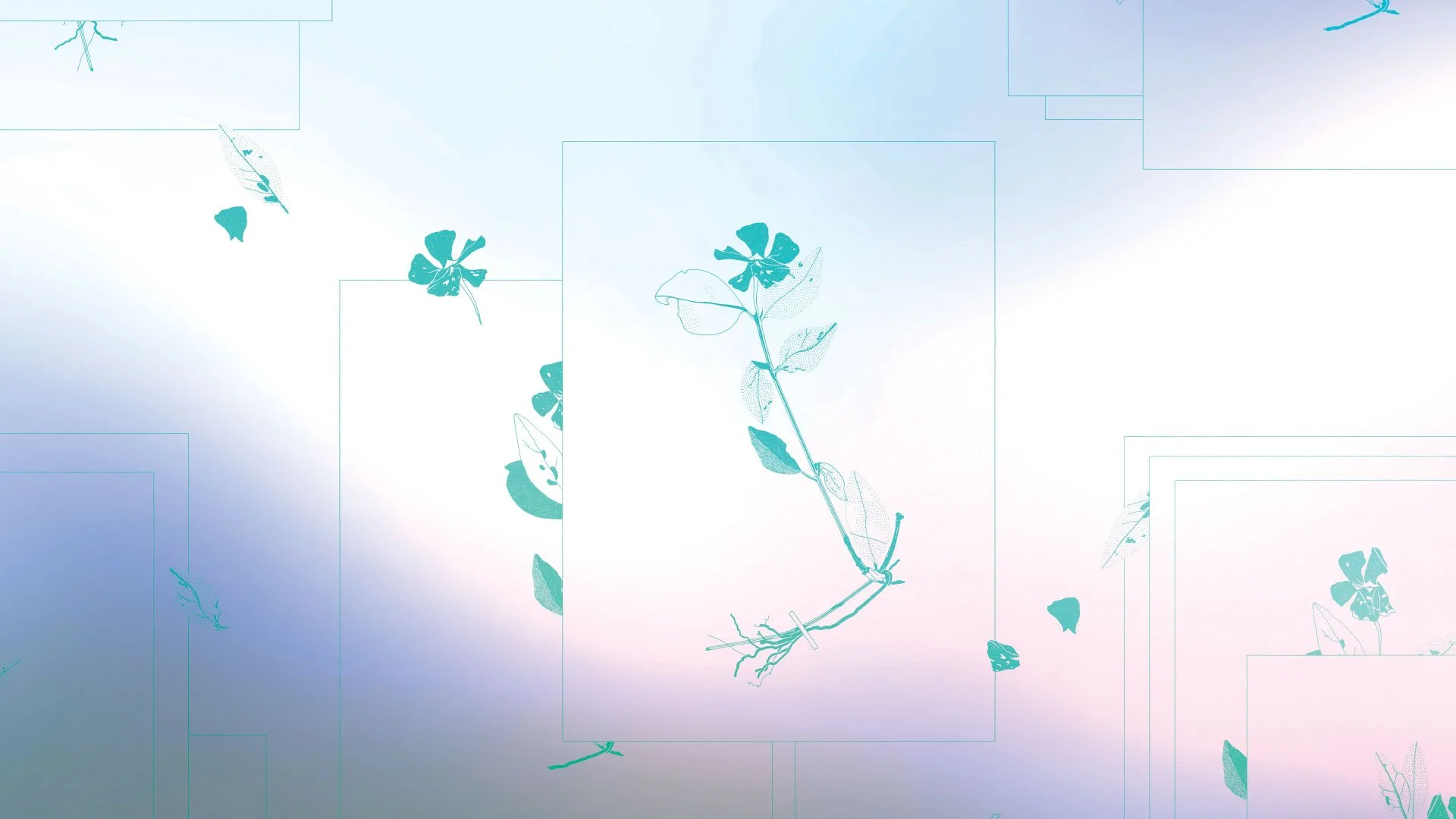 Rousseau et la Nature