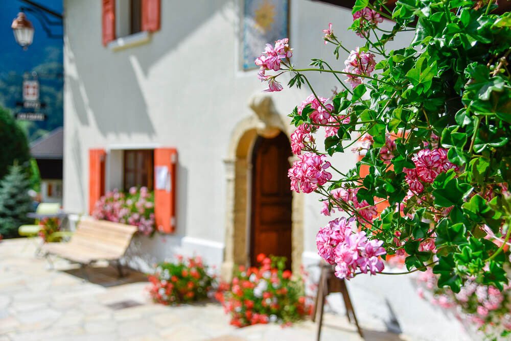 _DMA7693-WEB©david machet.jpg