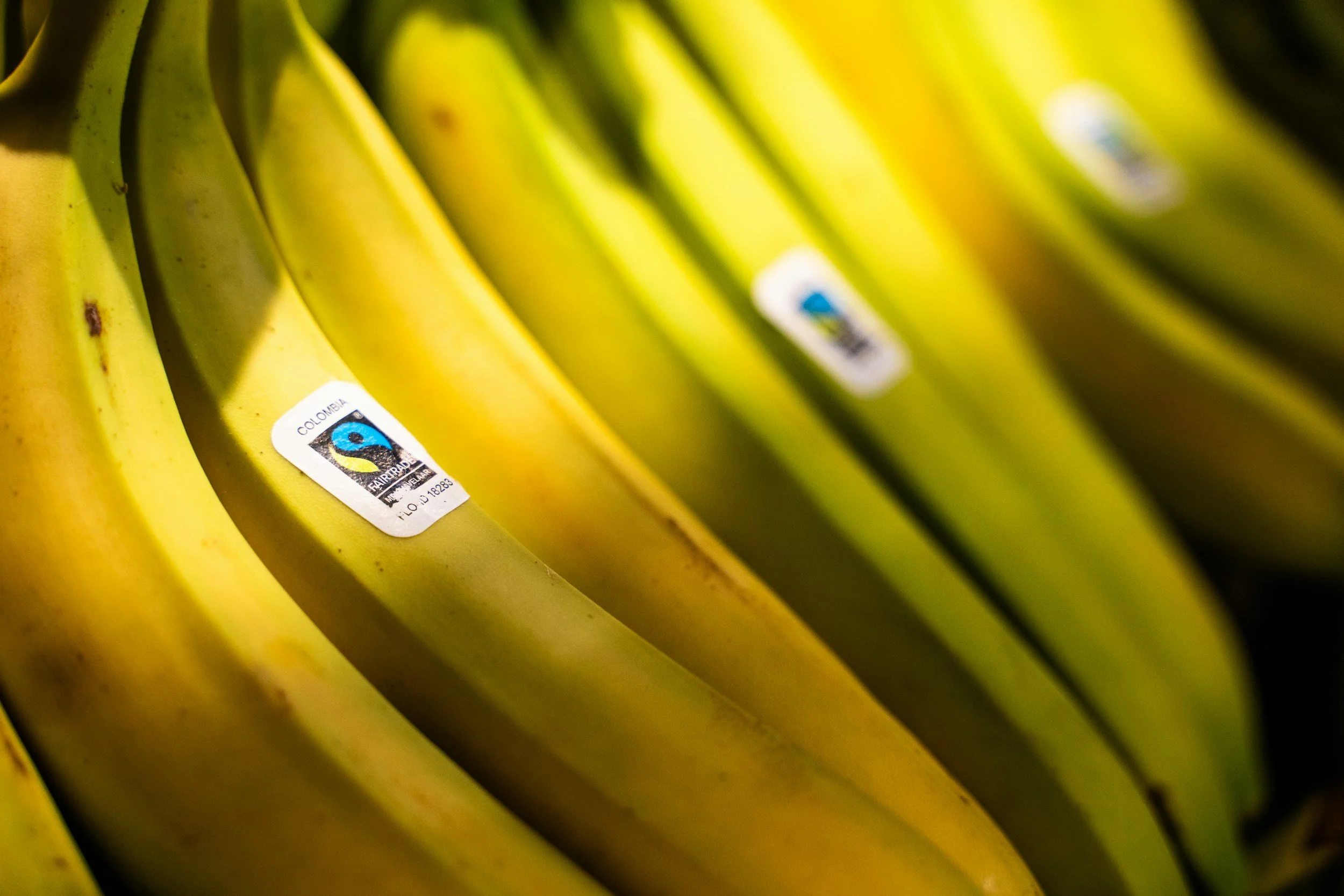 A tight close-up of a bunch of bananas with a shaft of sunlight across the middle of them. The focus point is an sticker on one of the bananas, featuring the Fairtrade logo and indicating the bananas are from Colombia.