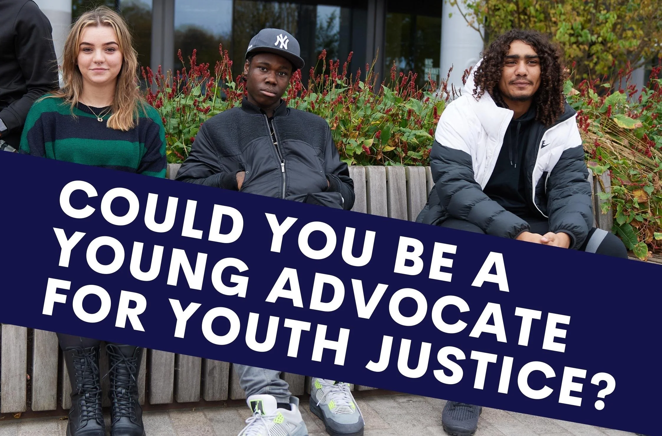 We are recruiting for new Young Advocates! — AYJ, Alliance for Youth ...