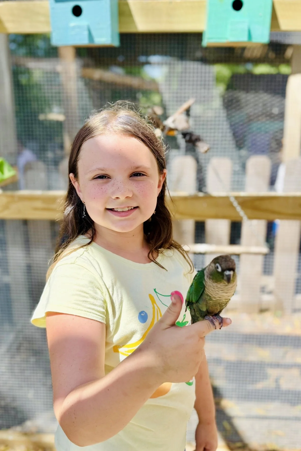 A young girl with light brown hair, freckles, and a yellow T-shirt holding a small green and gray parrot in her right hand, smiling in front of a bird enclosure.