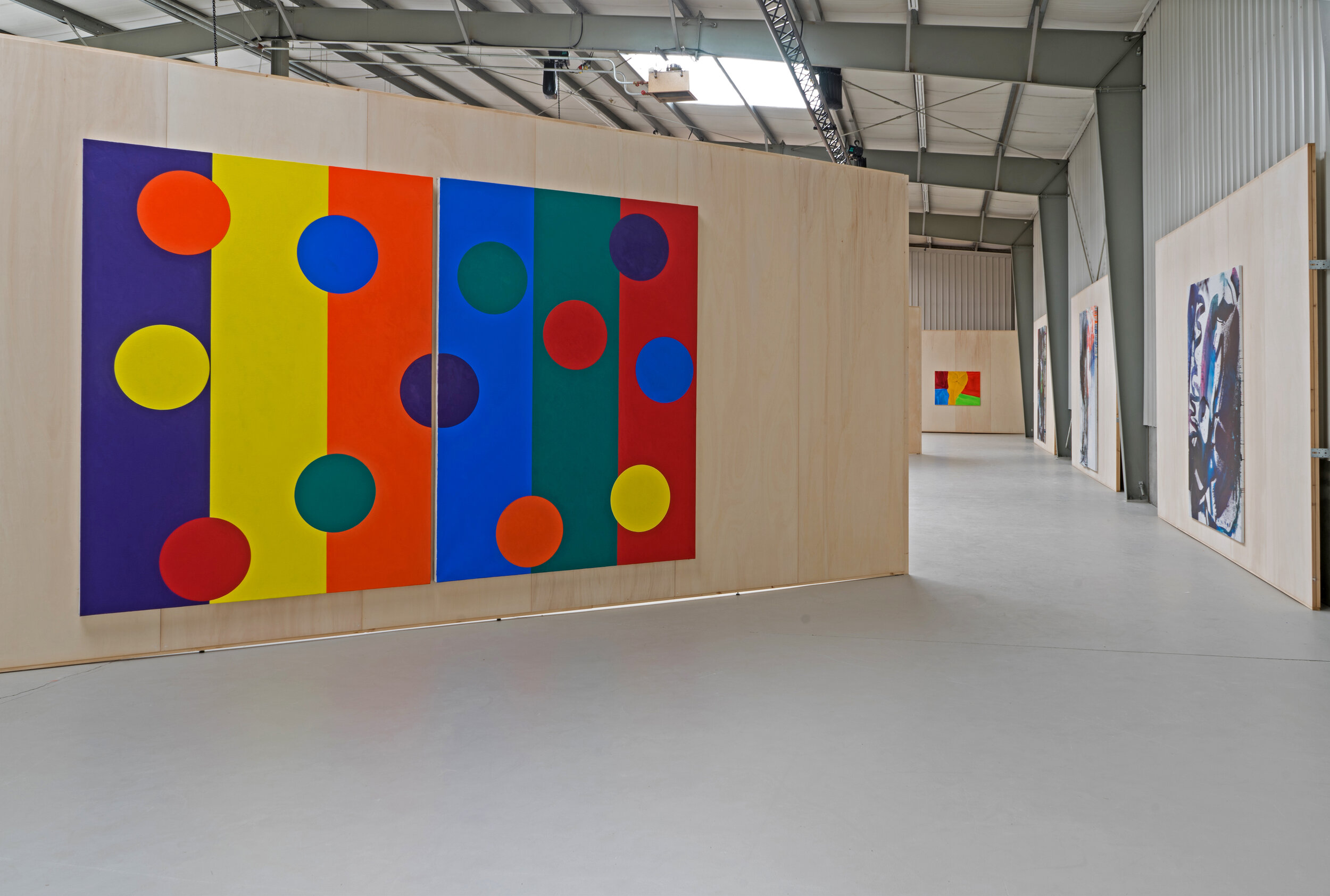 Installation view of works by Piet Dieleman in Hallucinogenic