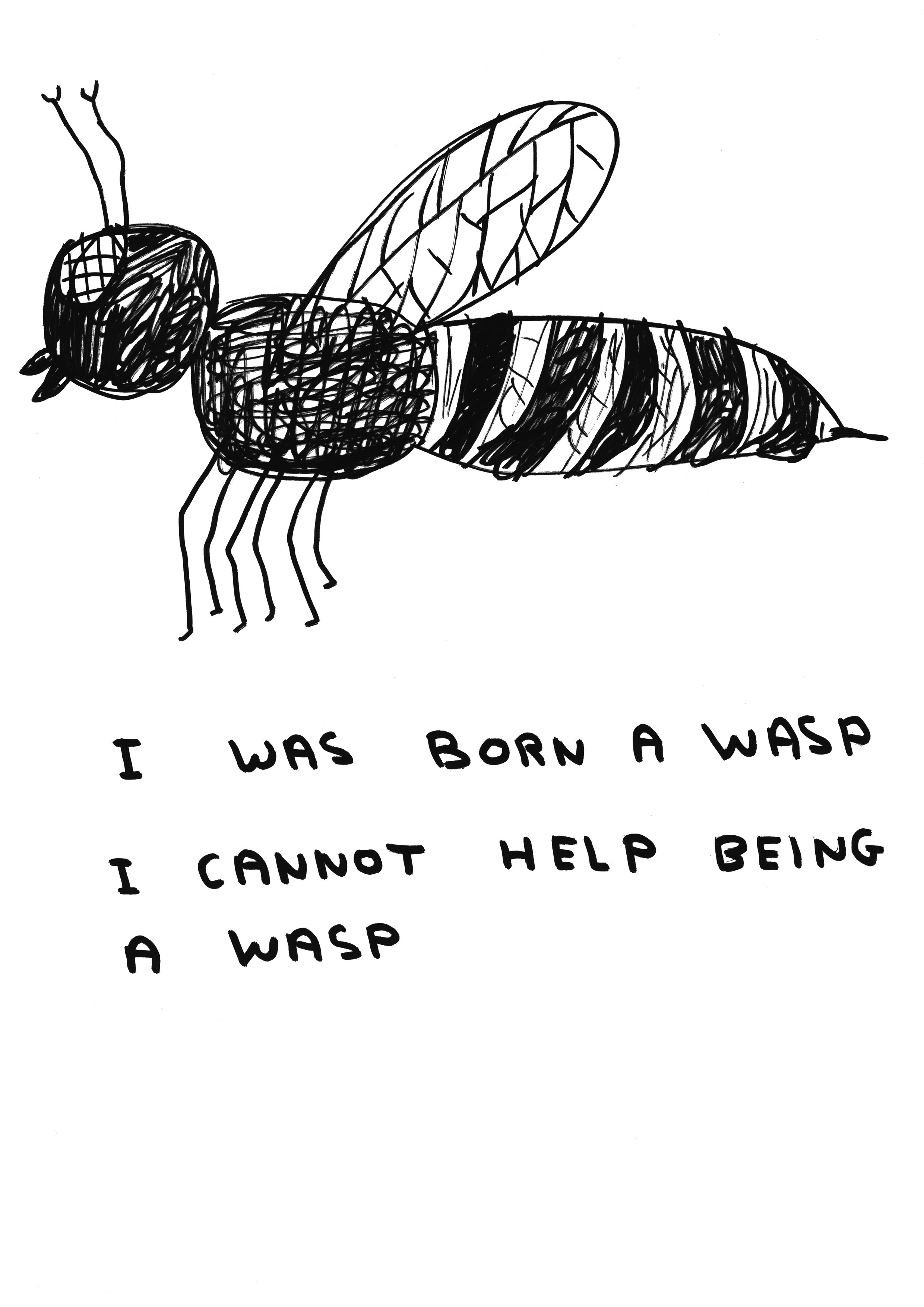 David Shrigley, Untitled (I was born a wasp), 2010, drawing on paper