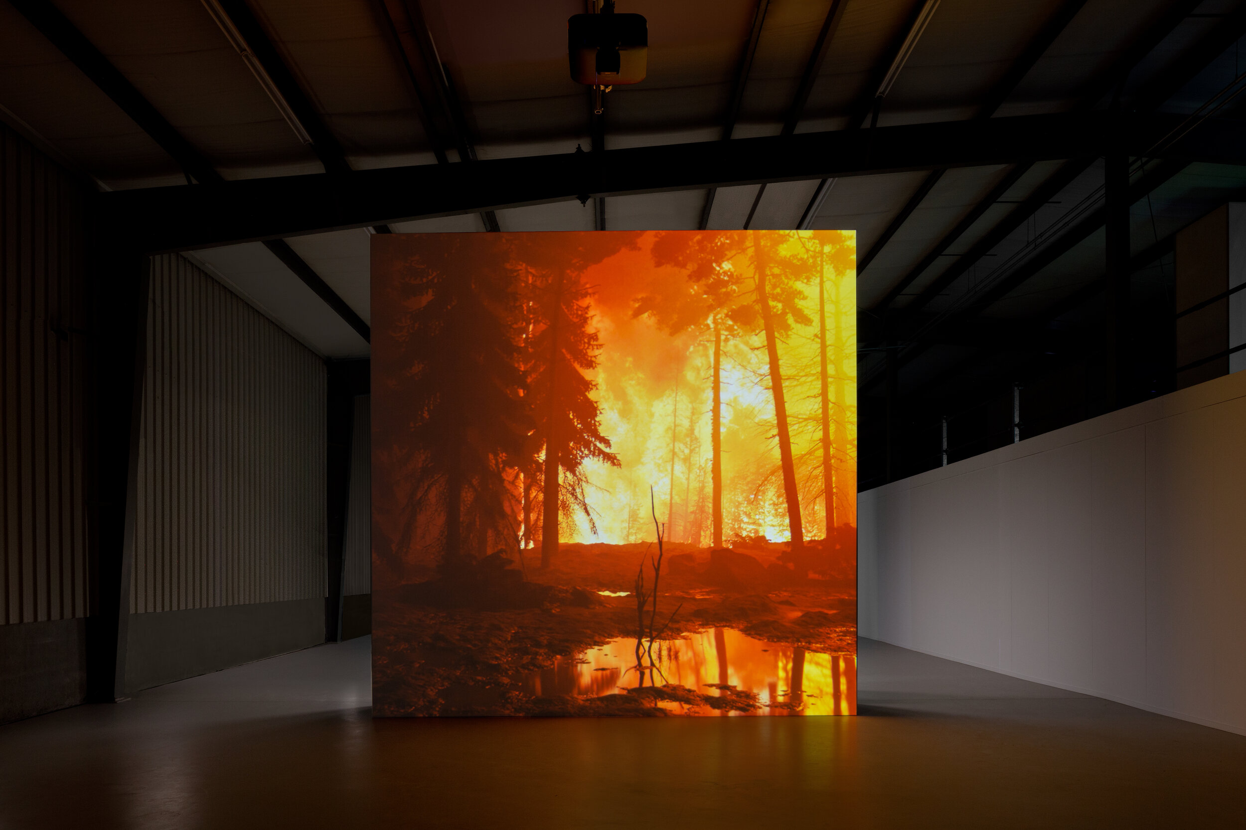 David Claerbout, Installation view of 'Wildfire (Meditation on Fire)'