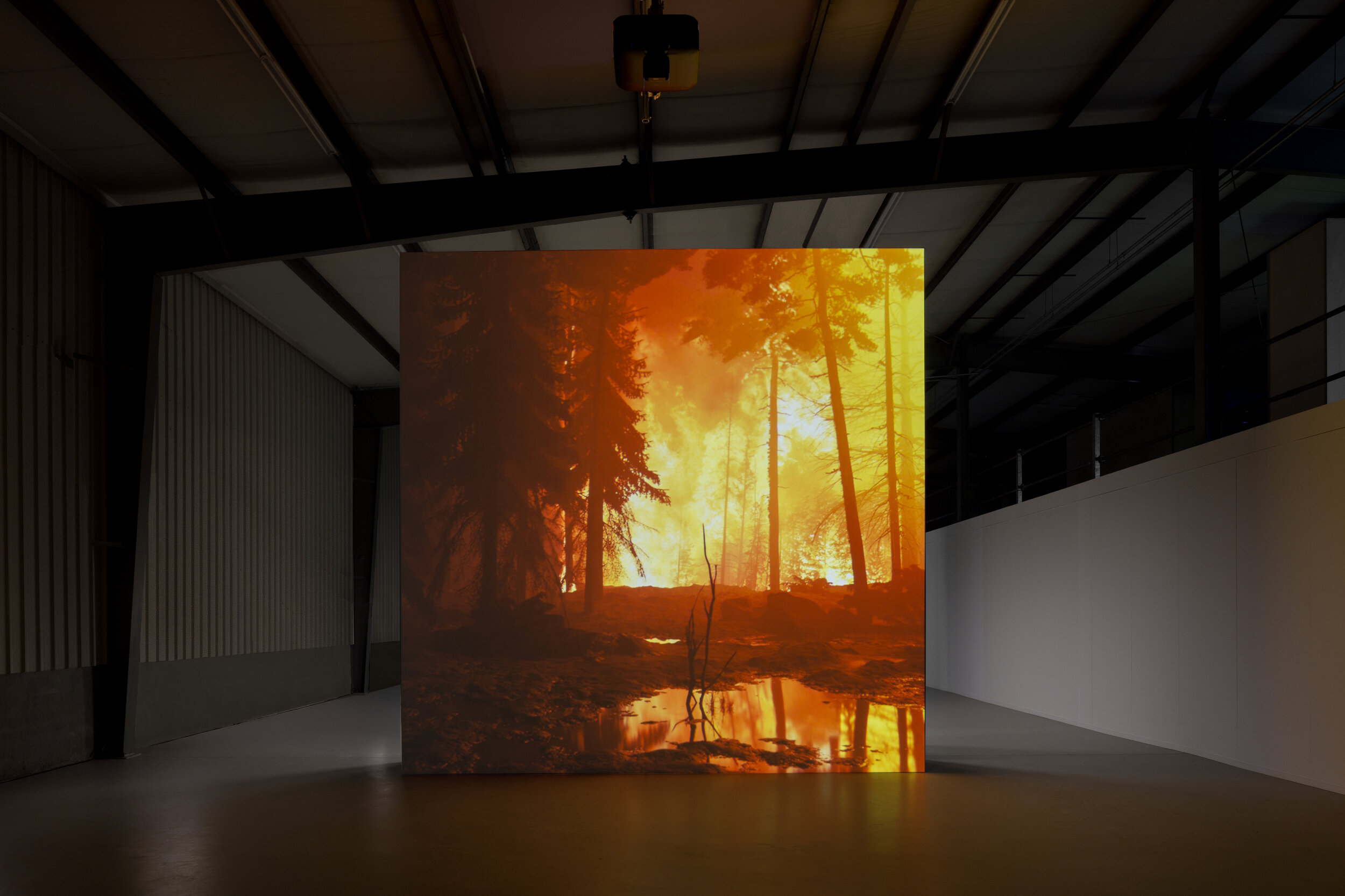 David Claerbout, Installation view of 'Wildfire (meditation on fire)'