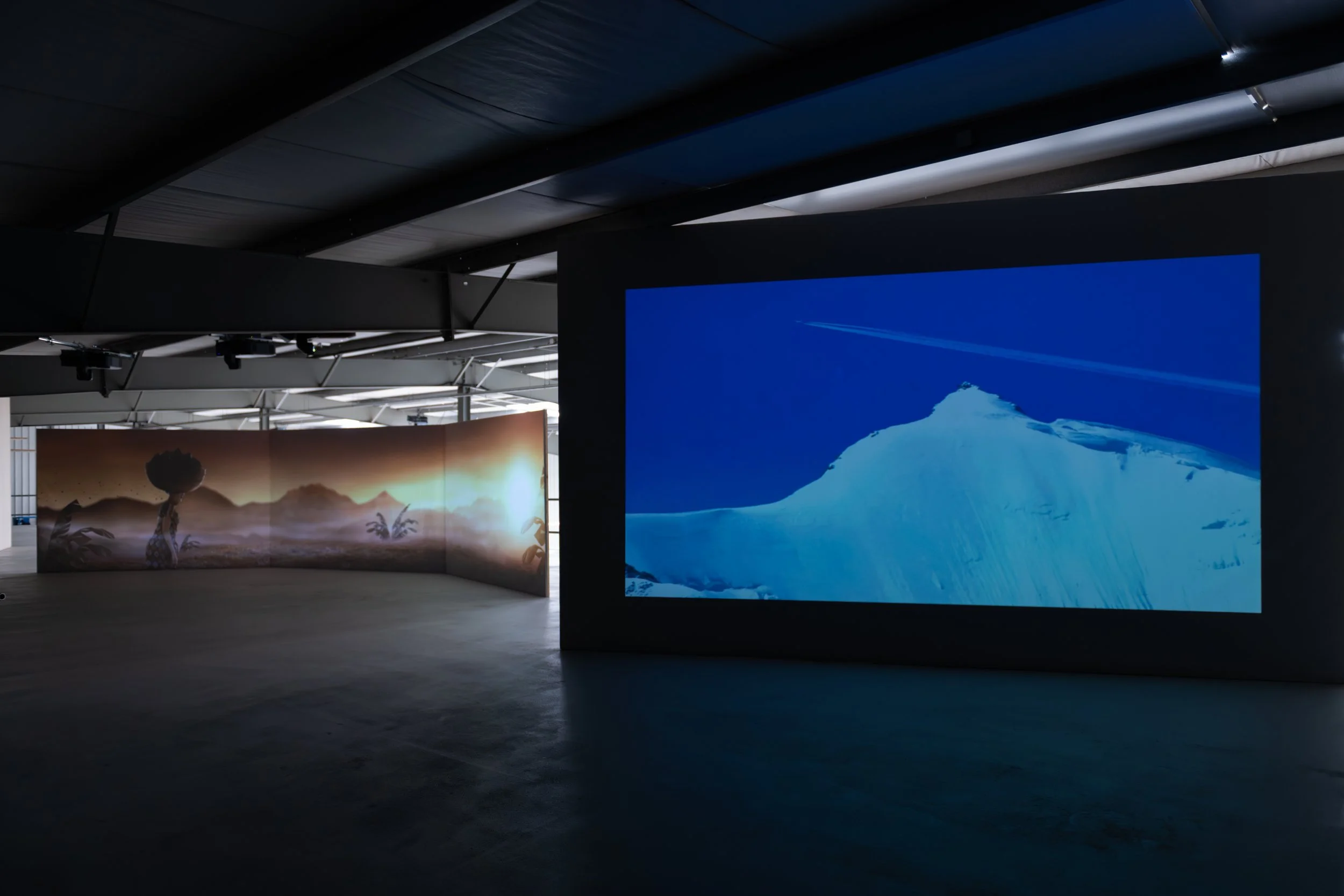  Installation view by Fabian Landewee 