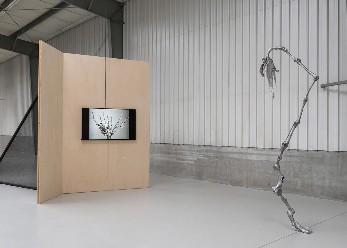 Project_Space_On_The_Inside_5-10-2026_LNDWstudio_DSC_7251.jpg