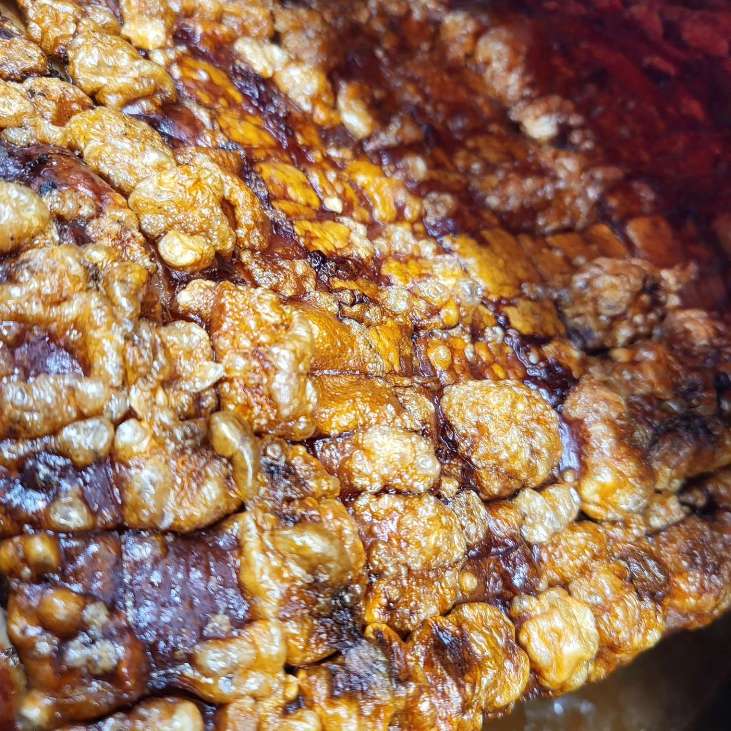 Today's favorite: our delicious Ribbe- Pork belly🍖🍻 straight from the oven. Come and enjoy the perfect taste of Norway. 🇳🇴

Reserve your table: bordbestilling@cafeskansen.no 

 #Ribbe #NorwegianCuisine #FreshlyRoasted #foodporn #foodphotography #