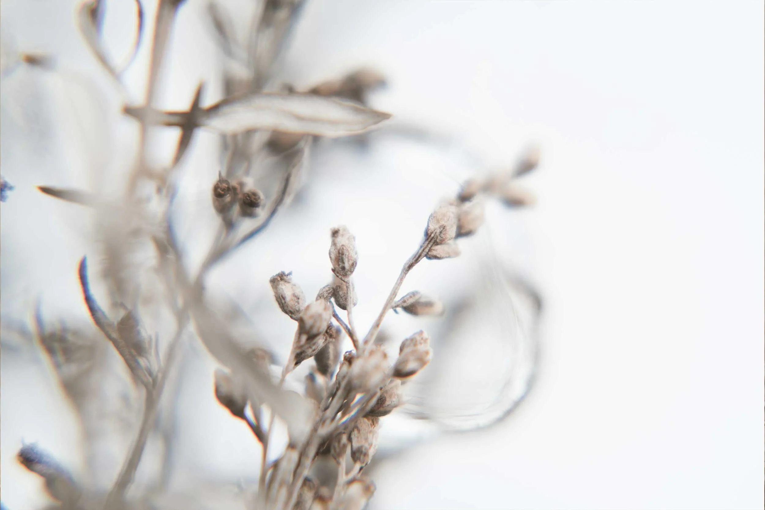 banner2.jpg