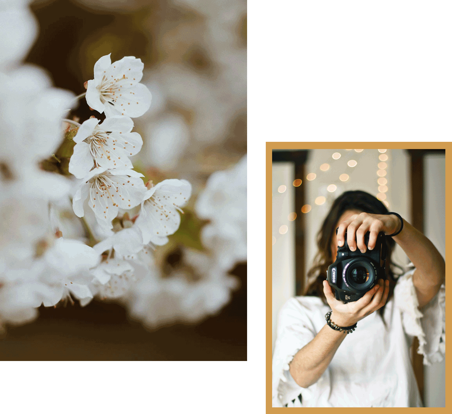 Gallery2.png