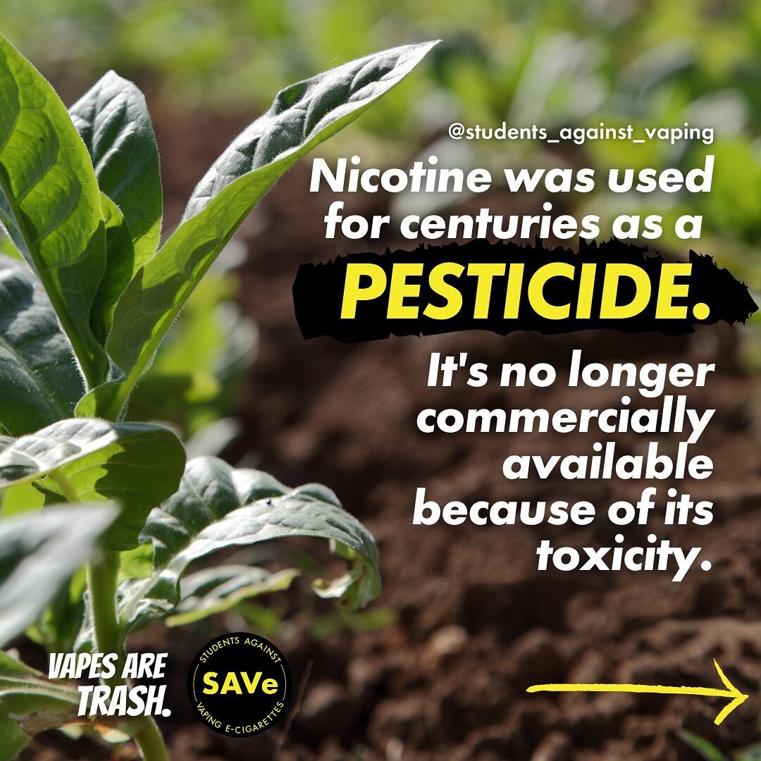 Nicotine is a neurotoxin. Where do all the harmful chemicals in vape liquid end up after they're discarded? Follow us and read more at vapesaretrash.org. #vapesaretrash #pesticides #litter #plasticpollution #environment