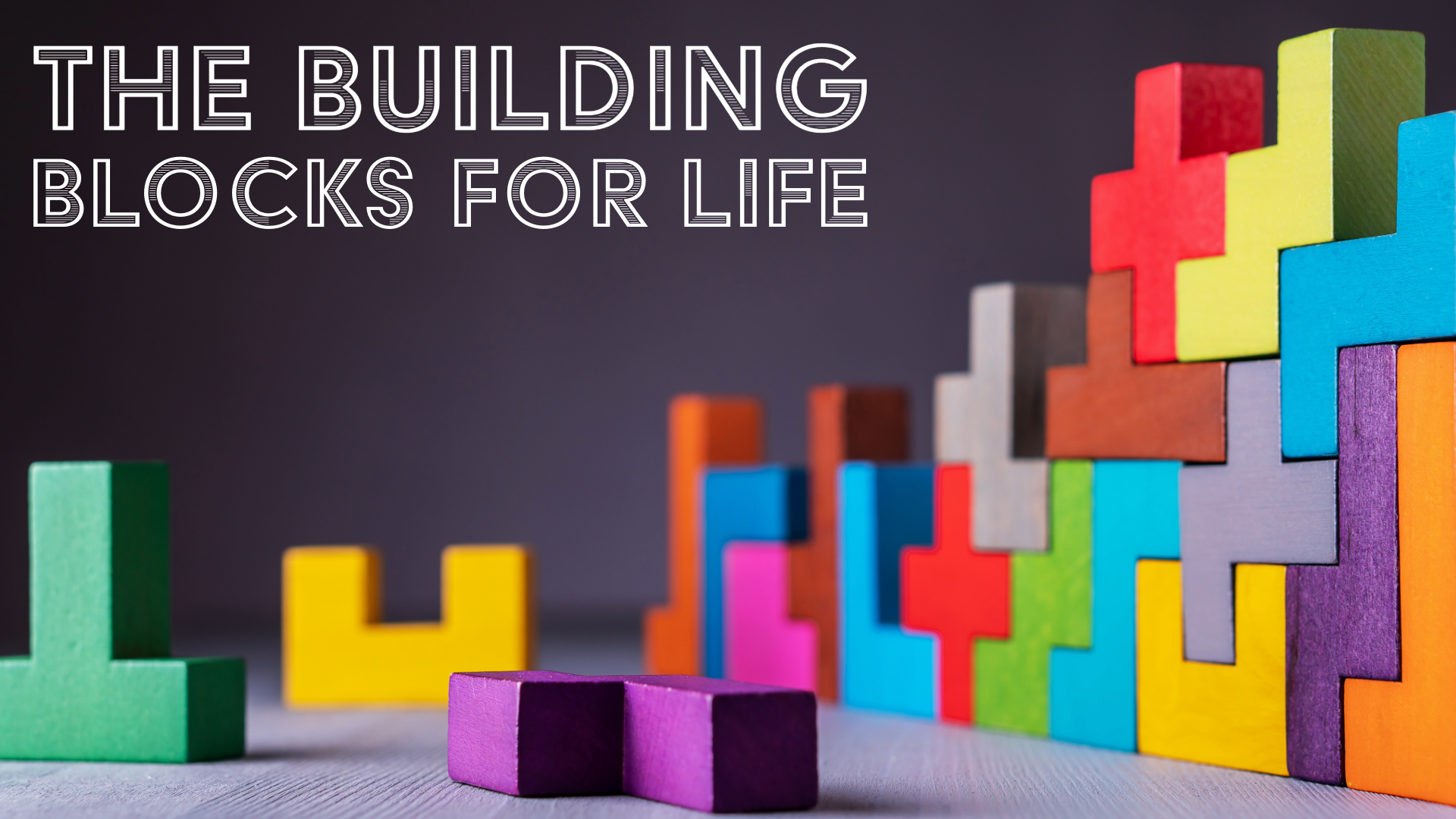 Life Vineyard Church, Newcastle