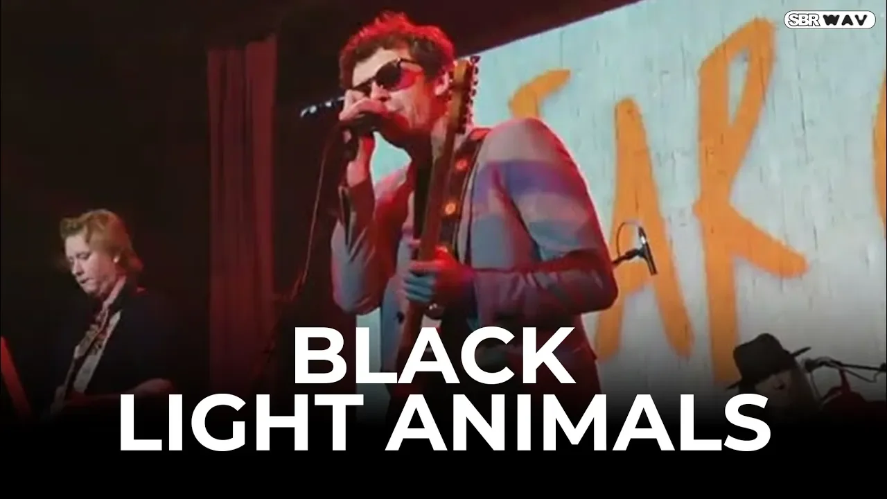 The Black Light Animals Perform Pink Lemonade @ RecordBar