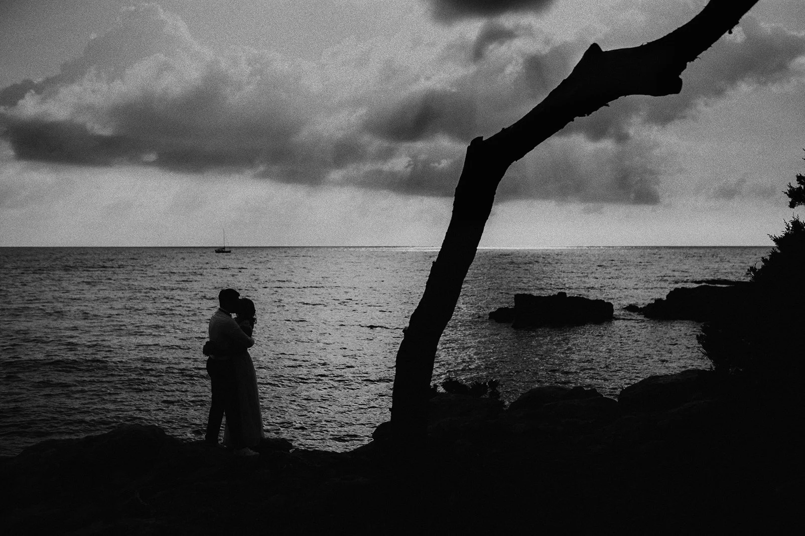 Luis Barreiro_02.jpg