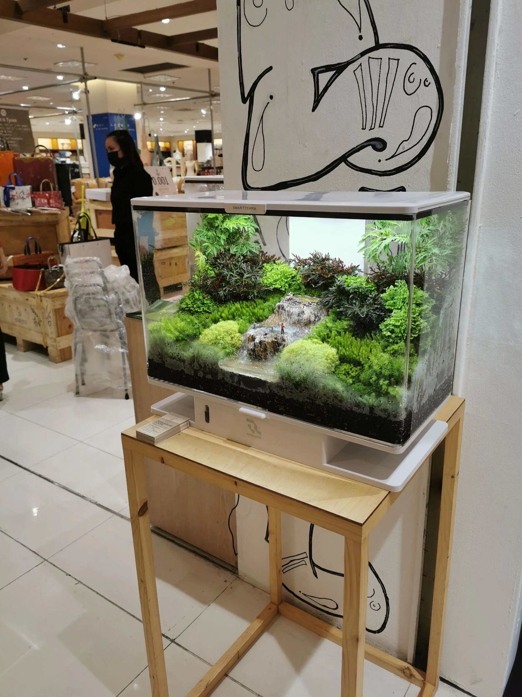 SmartTerra showcase image 3