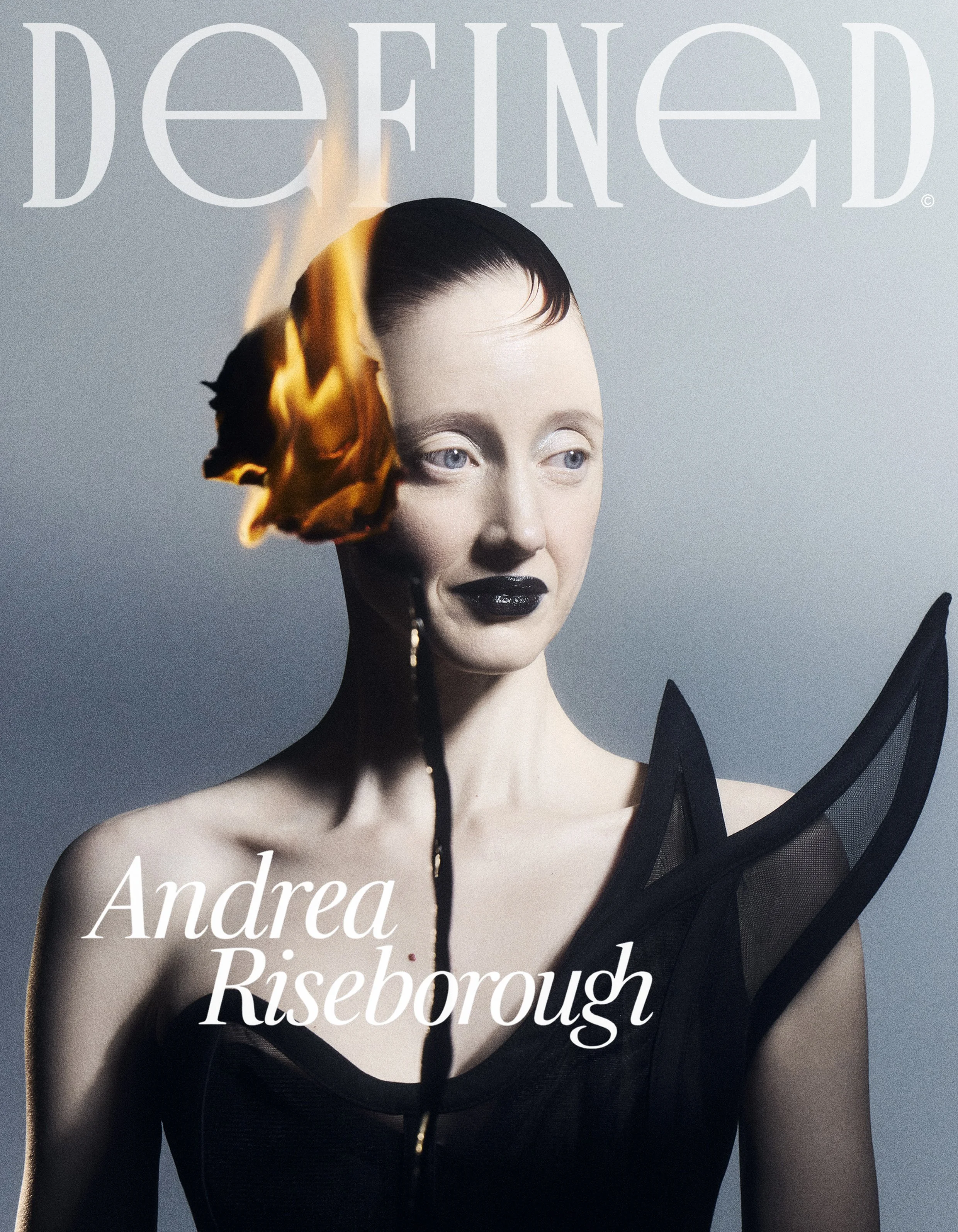 DEFINED-ANDREA-RISEBOROUGH-Cover-01.jpg