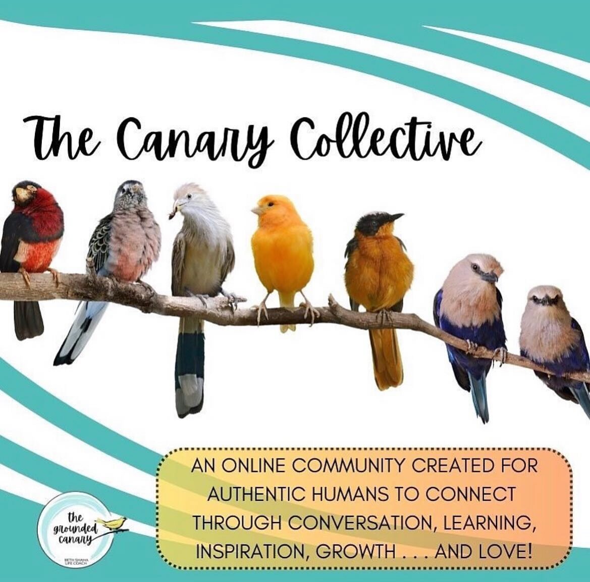 Community, Conversation, Growth, Tools &hellip; and Love 💕 

Link in Bio 🐥 

#canarycollective 🐥🐥🐥
#Growth #Connection #Learning #Self-awareness #Community #Awesome