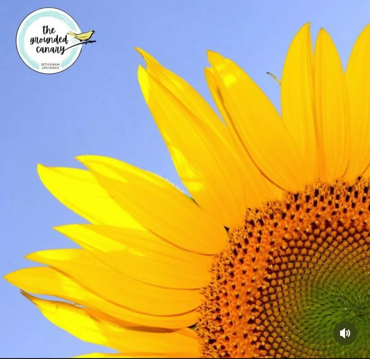 Be the sunshine!
