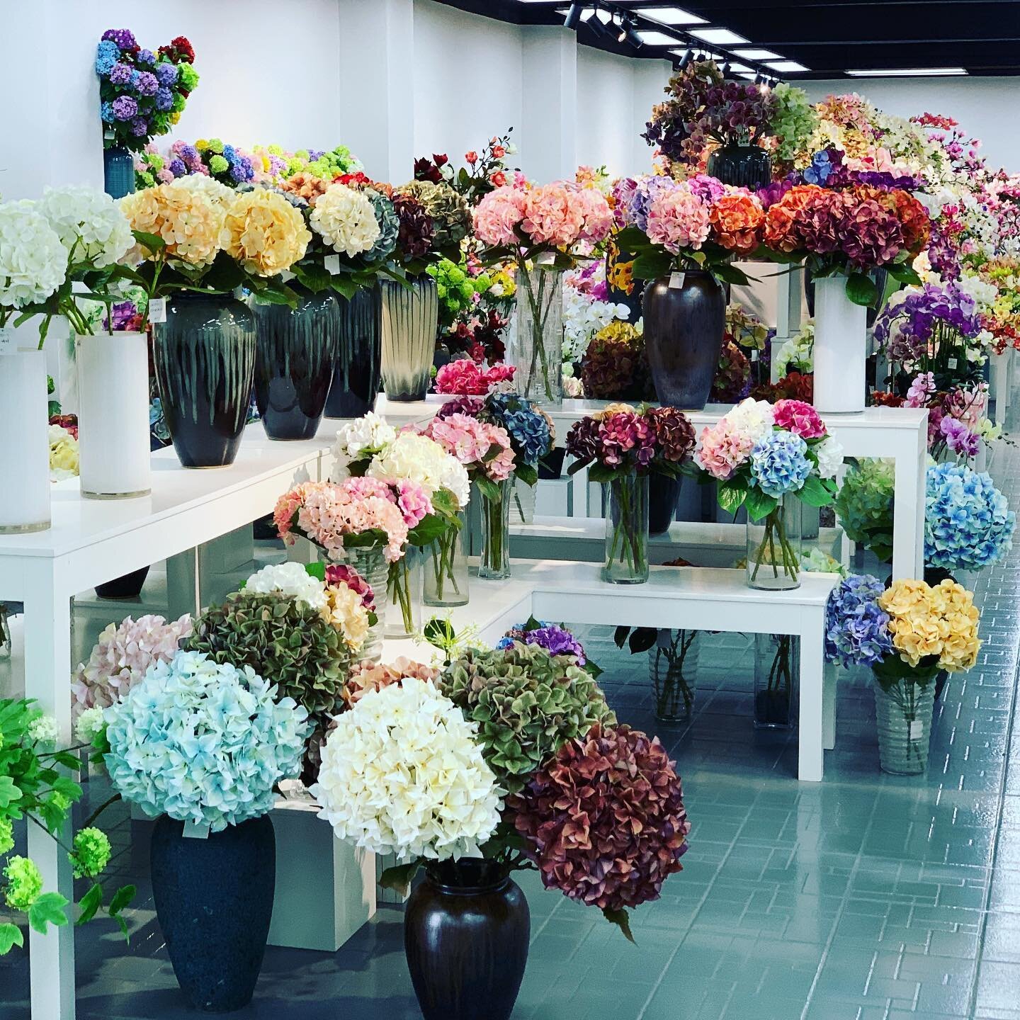 What a beautiful and diverse collection of flowers we encountered on our visit to China. All pre COVID 🌸🙏🏻💋