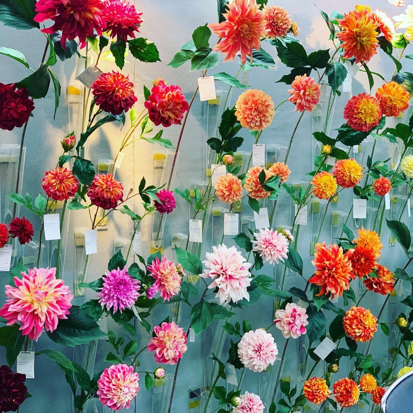 Darren and I were bowled over by these beautiful Dahlias. The varieties and colours were sublime. #silkflowers#artificialflowers#newcollection#florist#stylist#florals#blooms#floralinspiration#fauxflowerstyling#homedecor#uniqueflowers