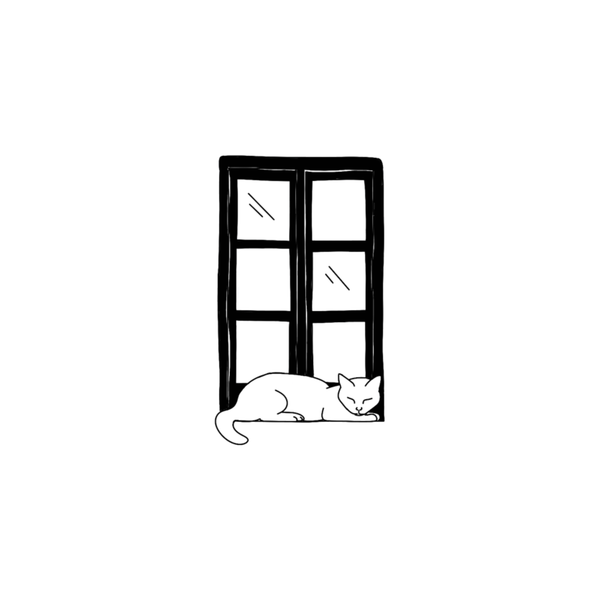 IMG_9638.png