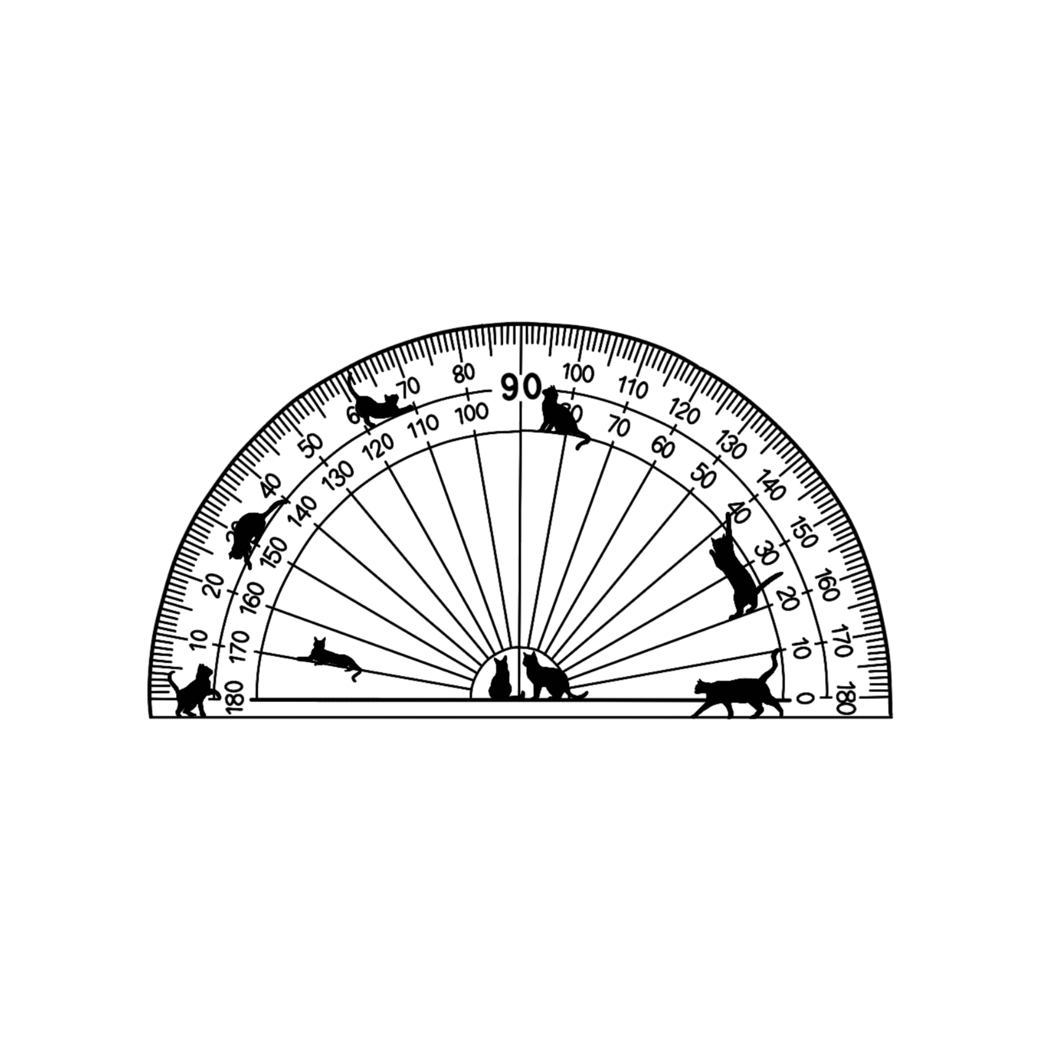 IMG_9618.png