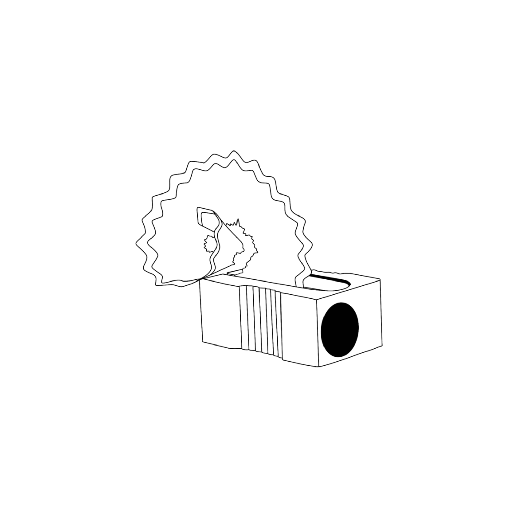 IMG_9634.png