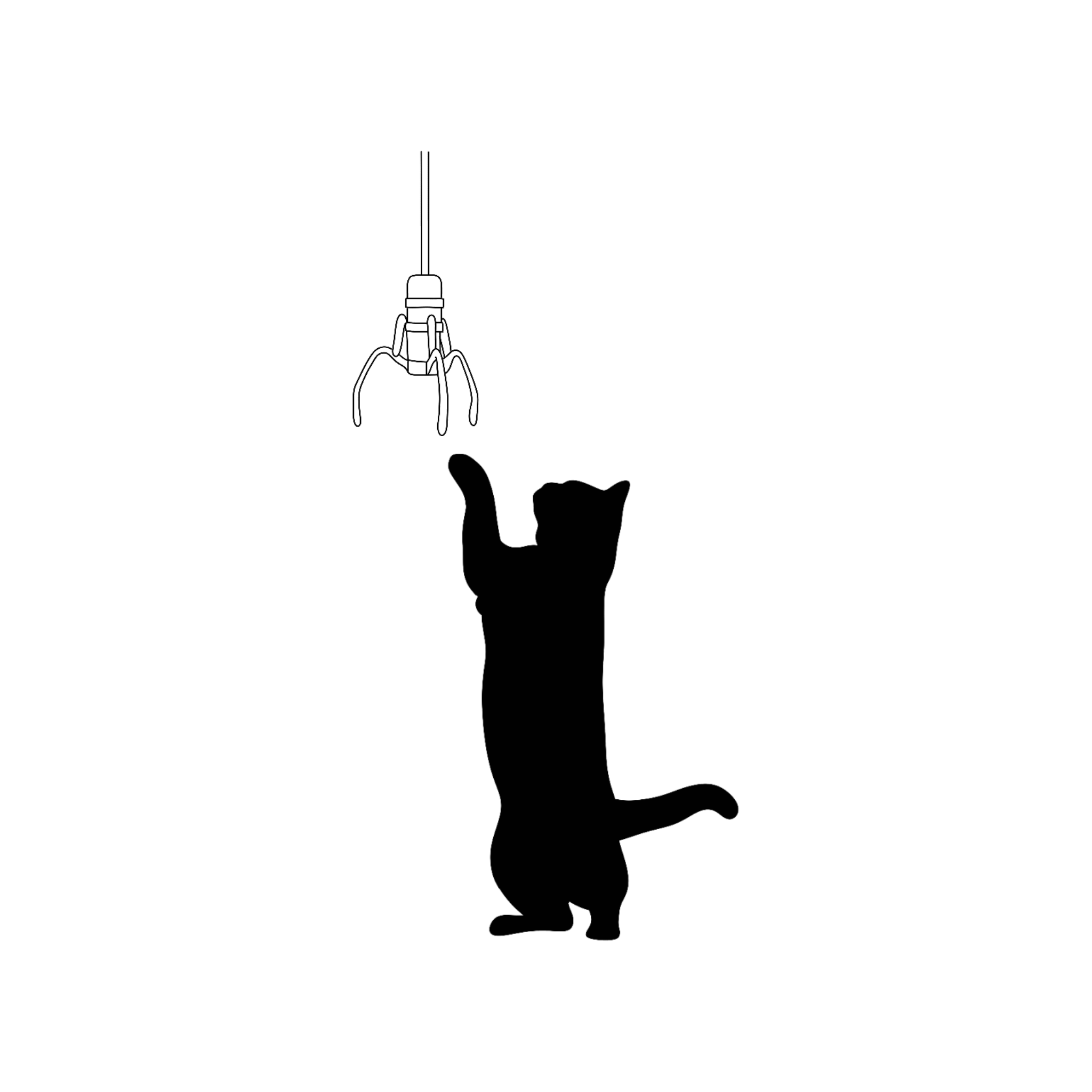 IMG_9617.png
