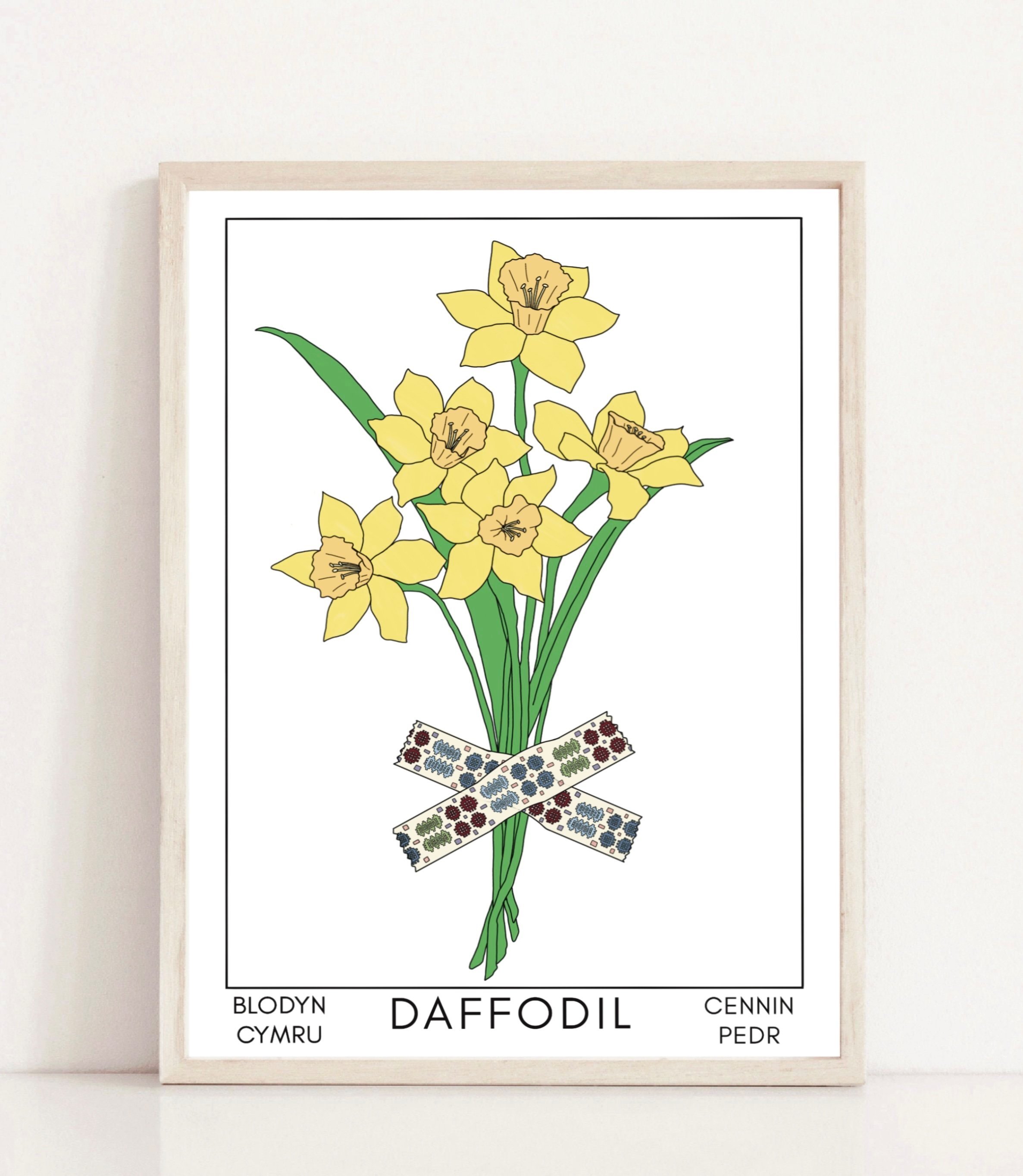 Daffodil - Blodyn Cymru