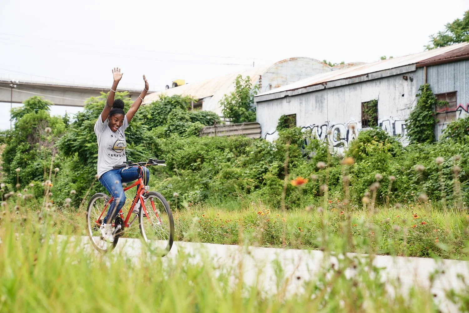 Hales Photo-Bearings Bikes 2019-0155.jpg