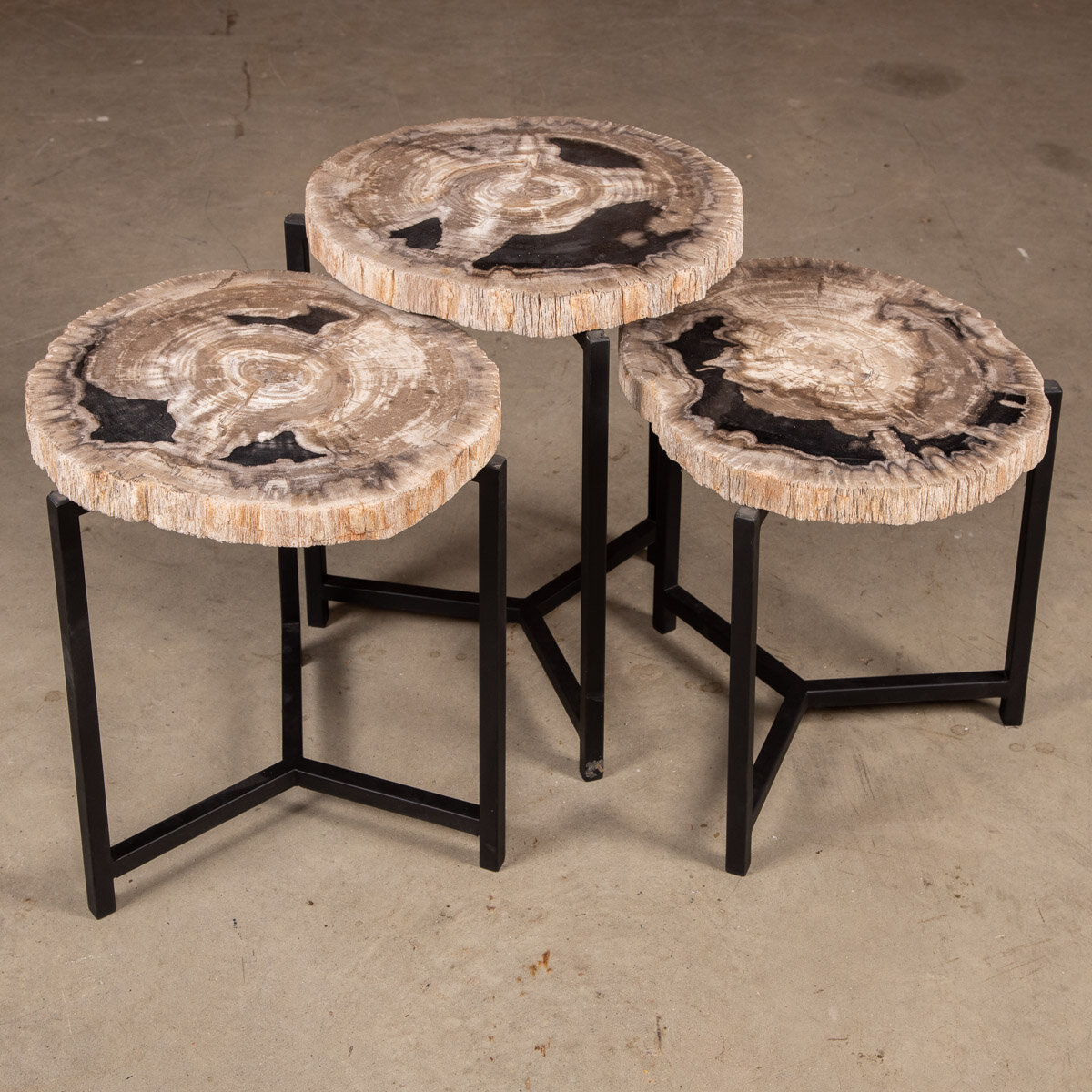 A Nest Of Three Petrified Wood (Fossil) Tables On Black Metal Bases